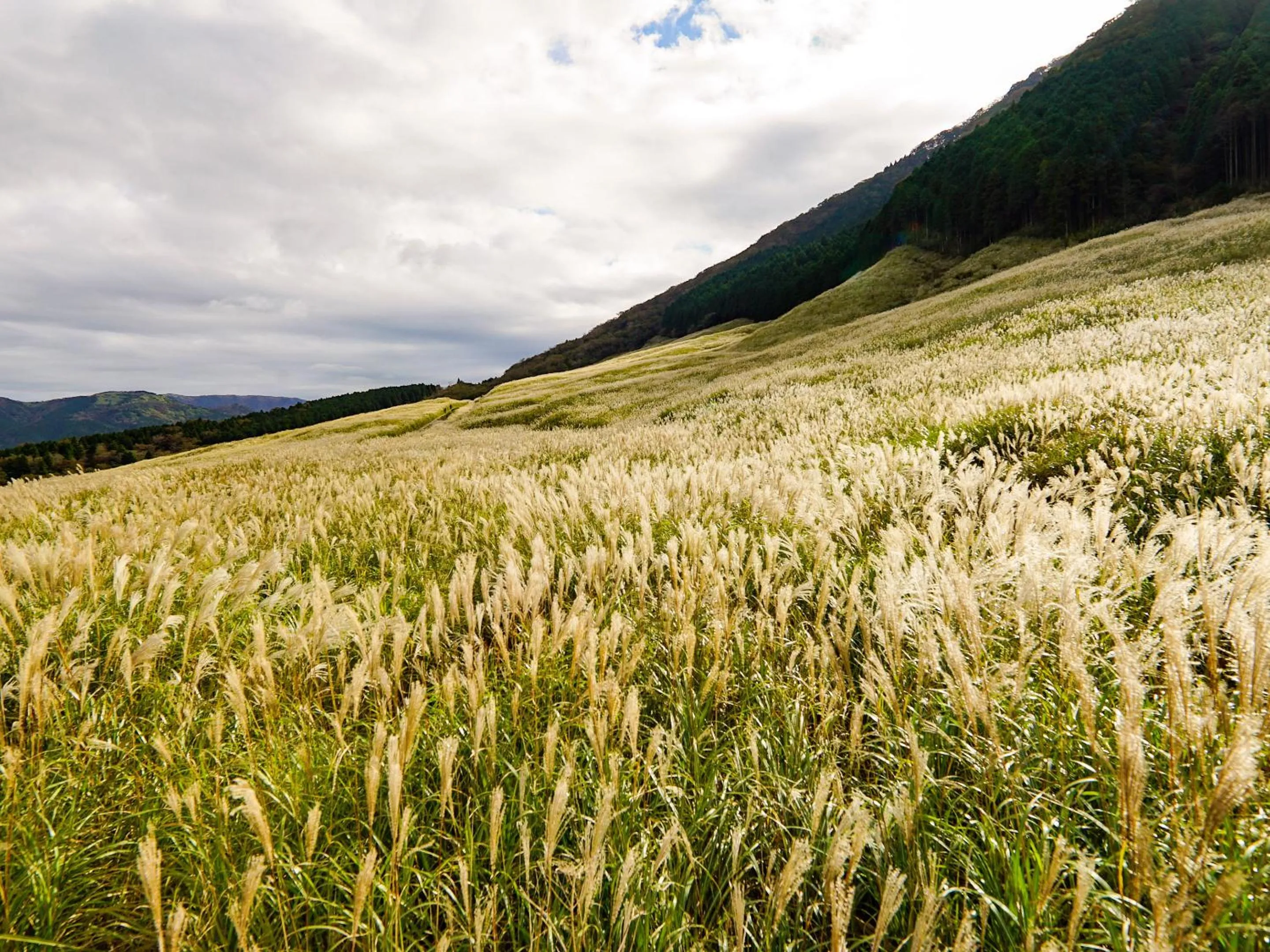 Off site in Hakone Onsen Yuyado Yamanoshou