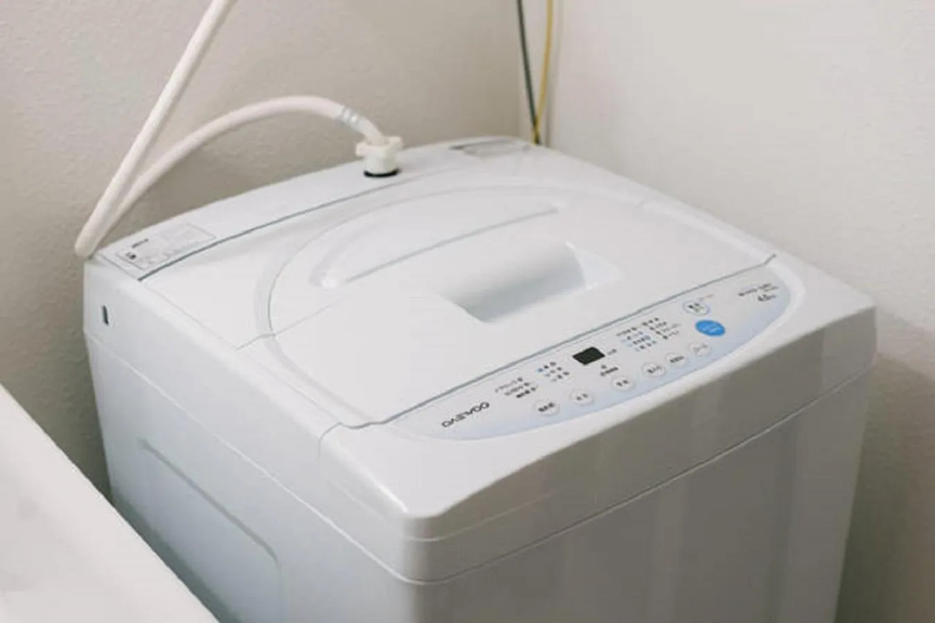 Photo of the whole room in Forest Terrace Tenjinminami