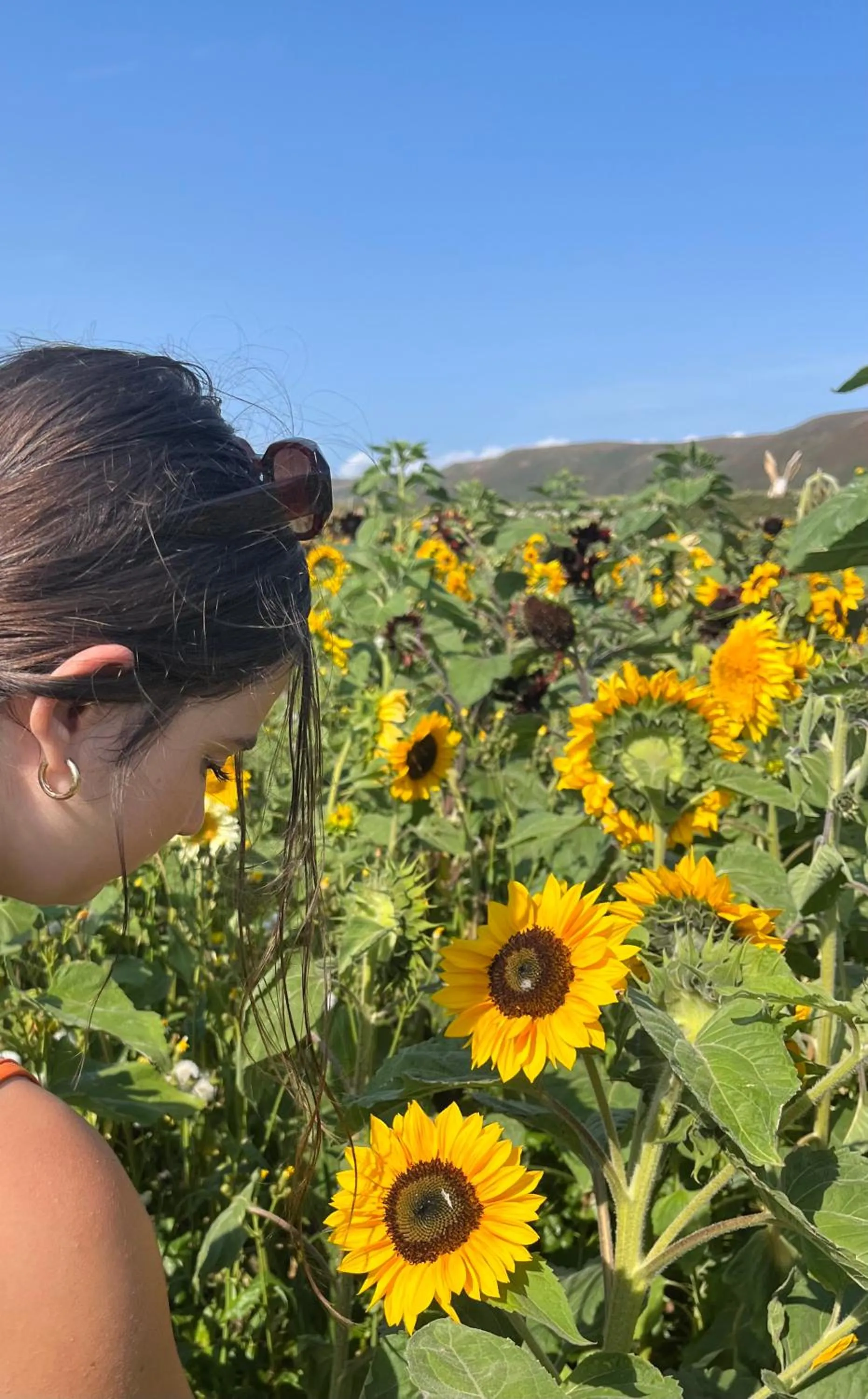 Nearby landmark in Tides Reach Guest House