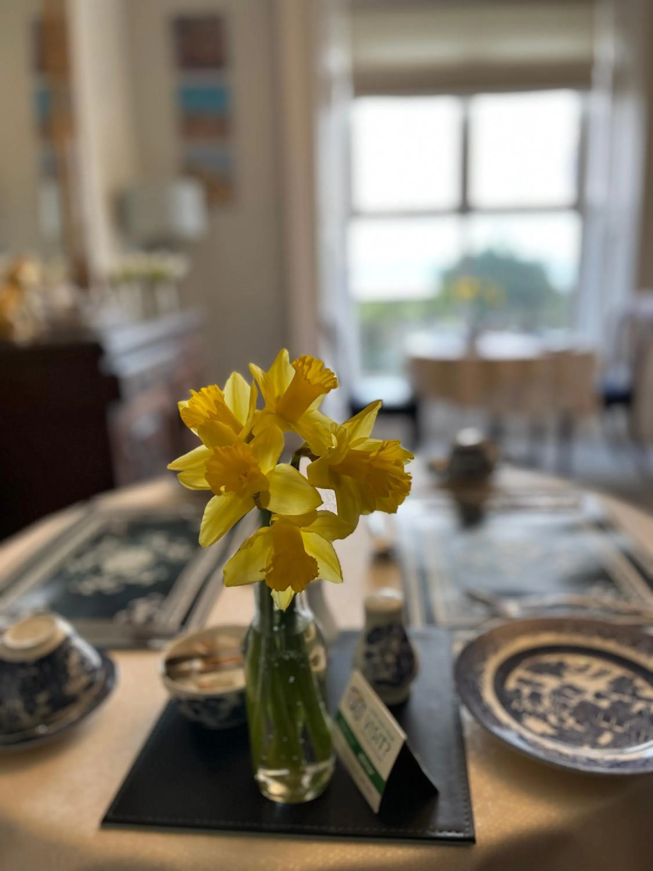 Breakfast in Tides Reach Guest House