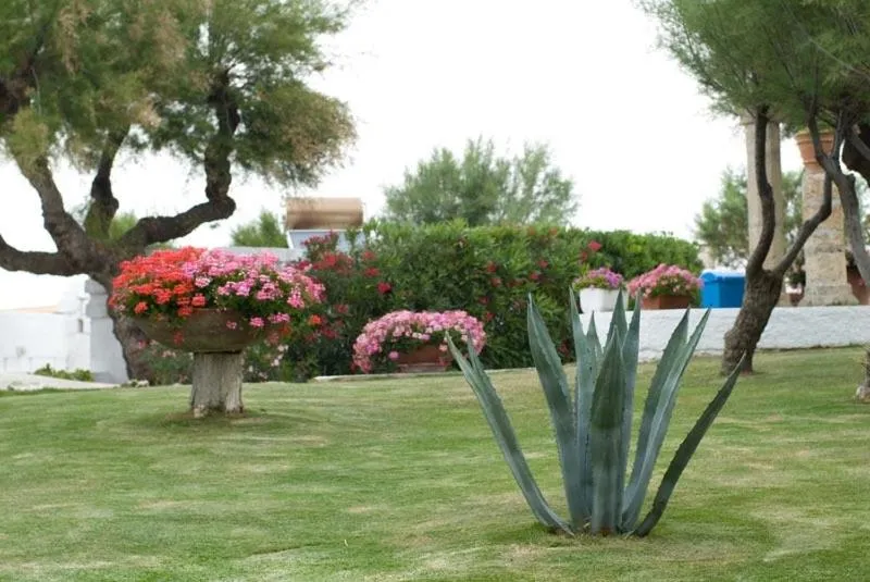 Day in Hotel Lido Torre Egnazia