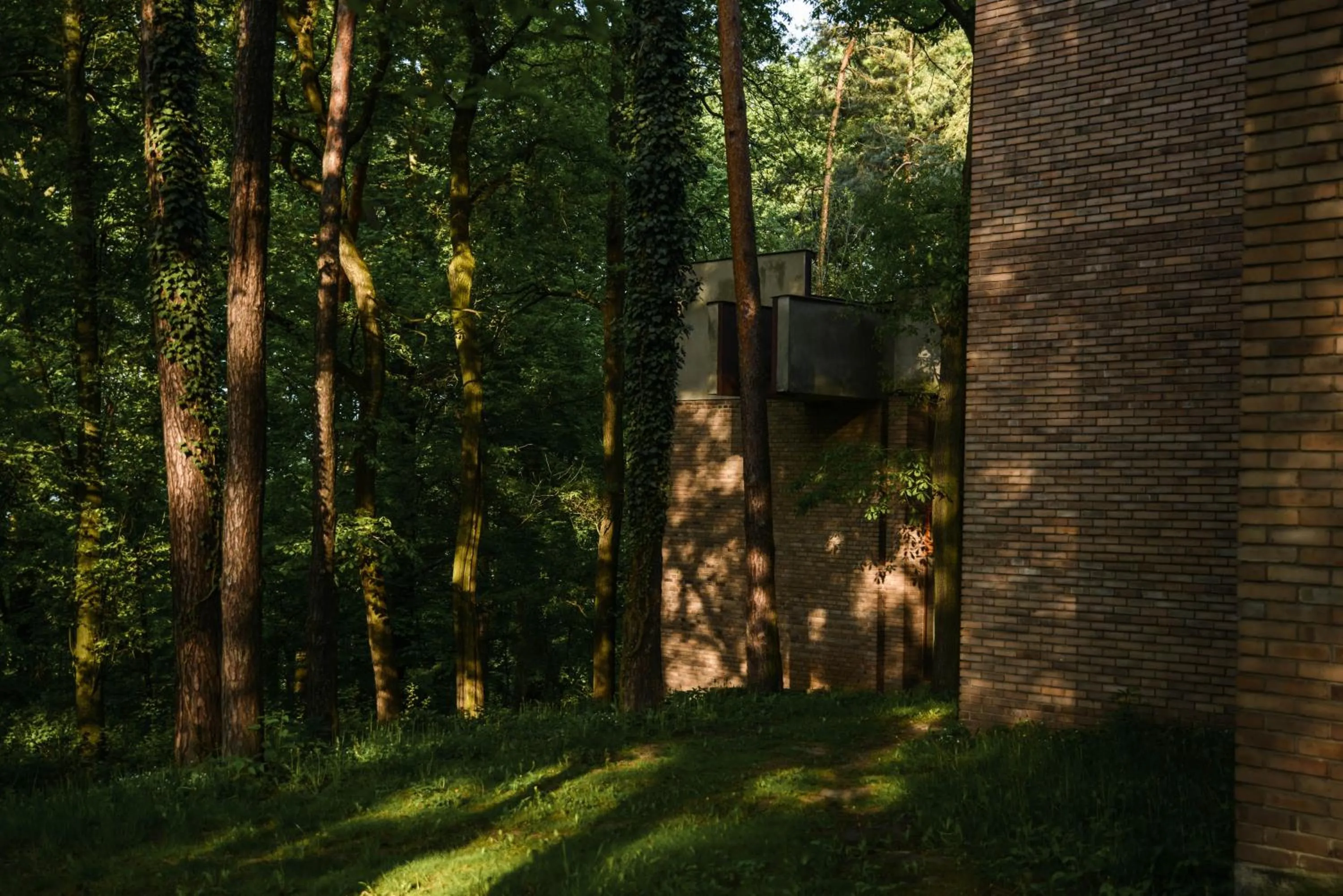 Property building in Forest Hotel