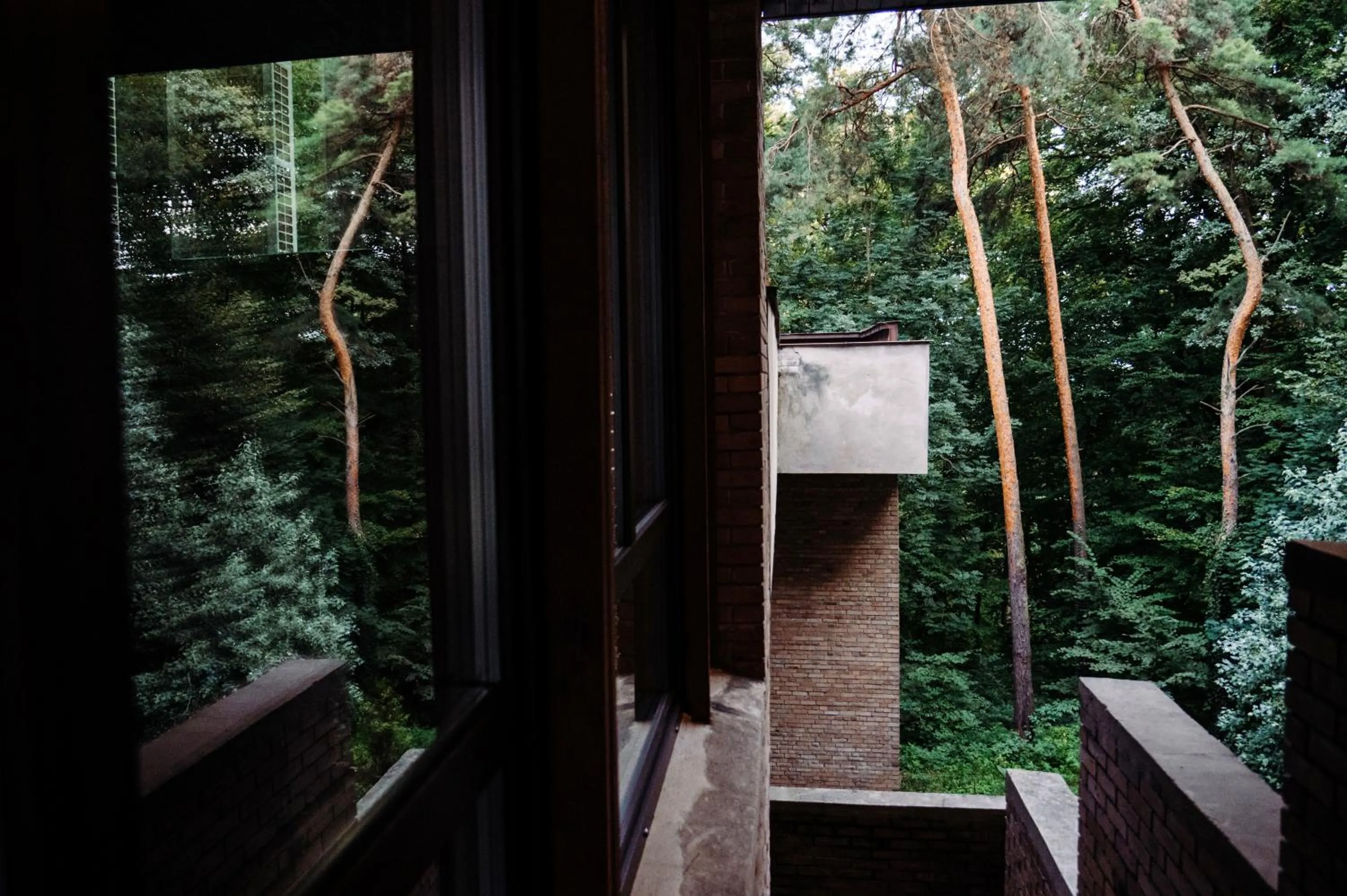 View (from property/room) in Forest Hotel