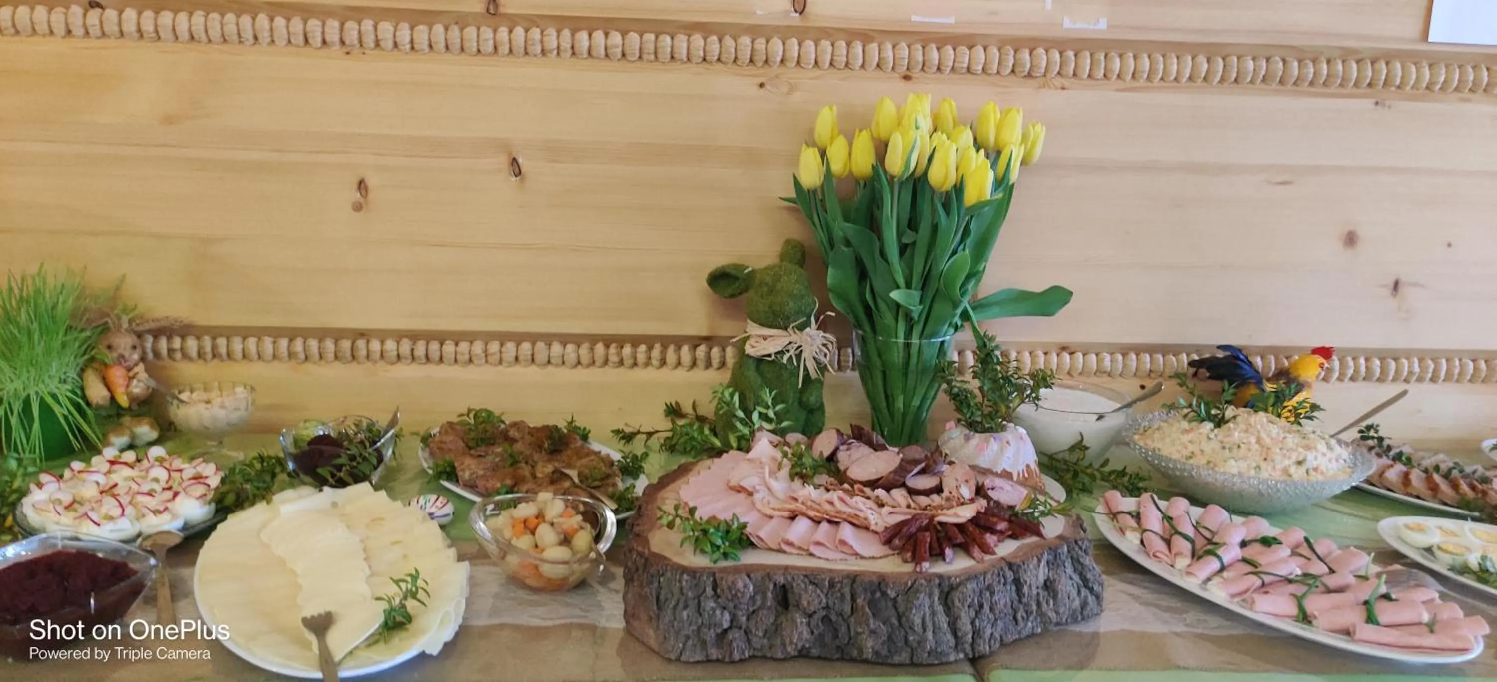 ECO Willa Grand Karpatia Ski&Wellness