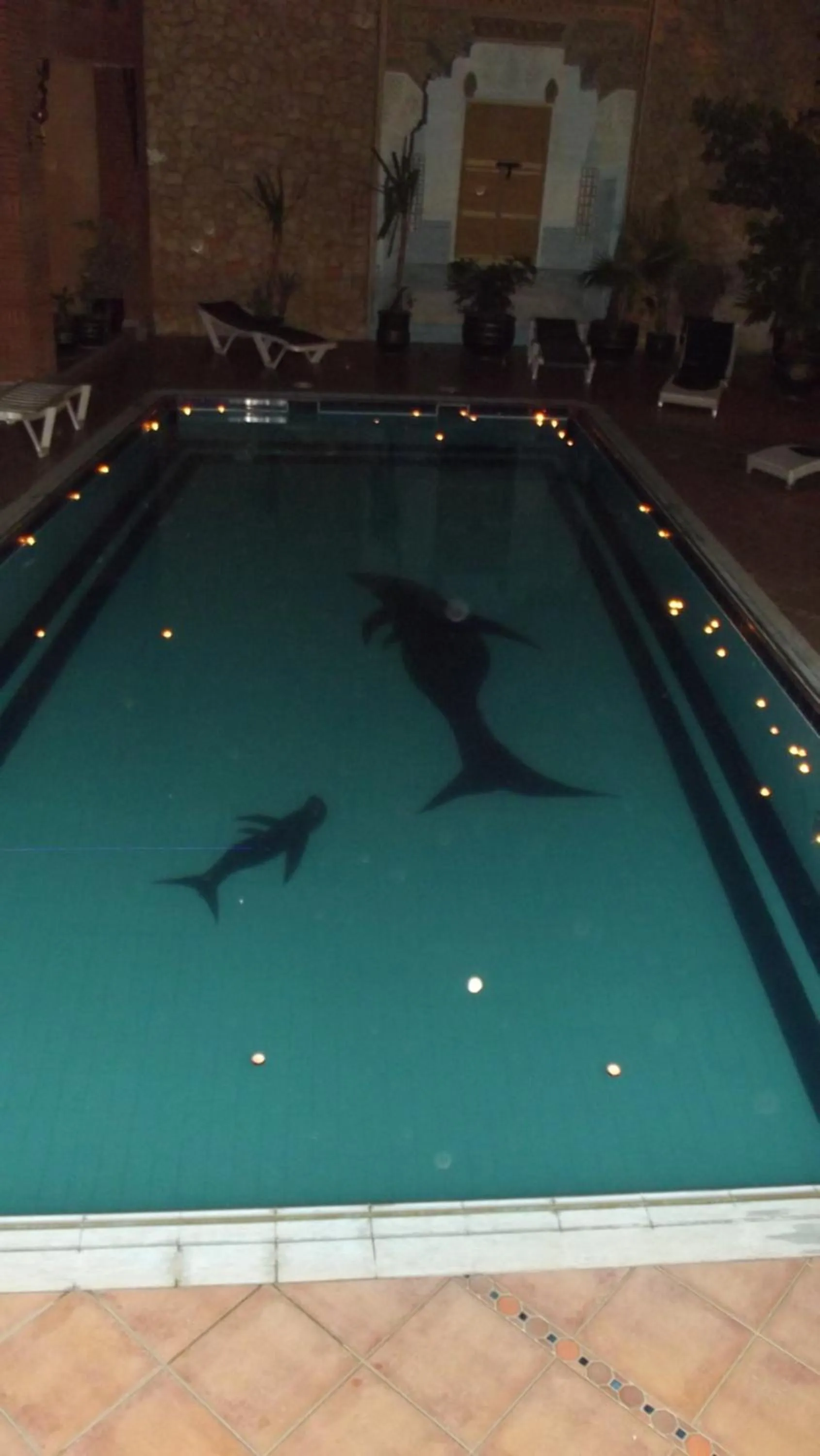 Pool view in Hotel Al Kabir