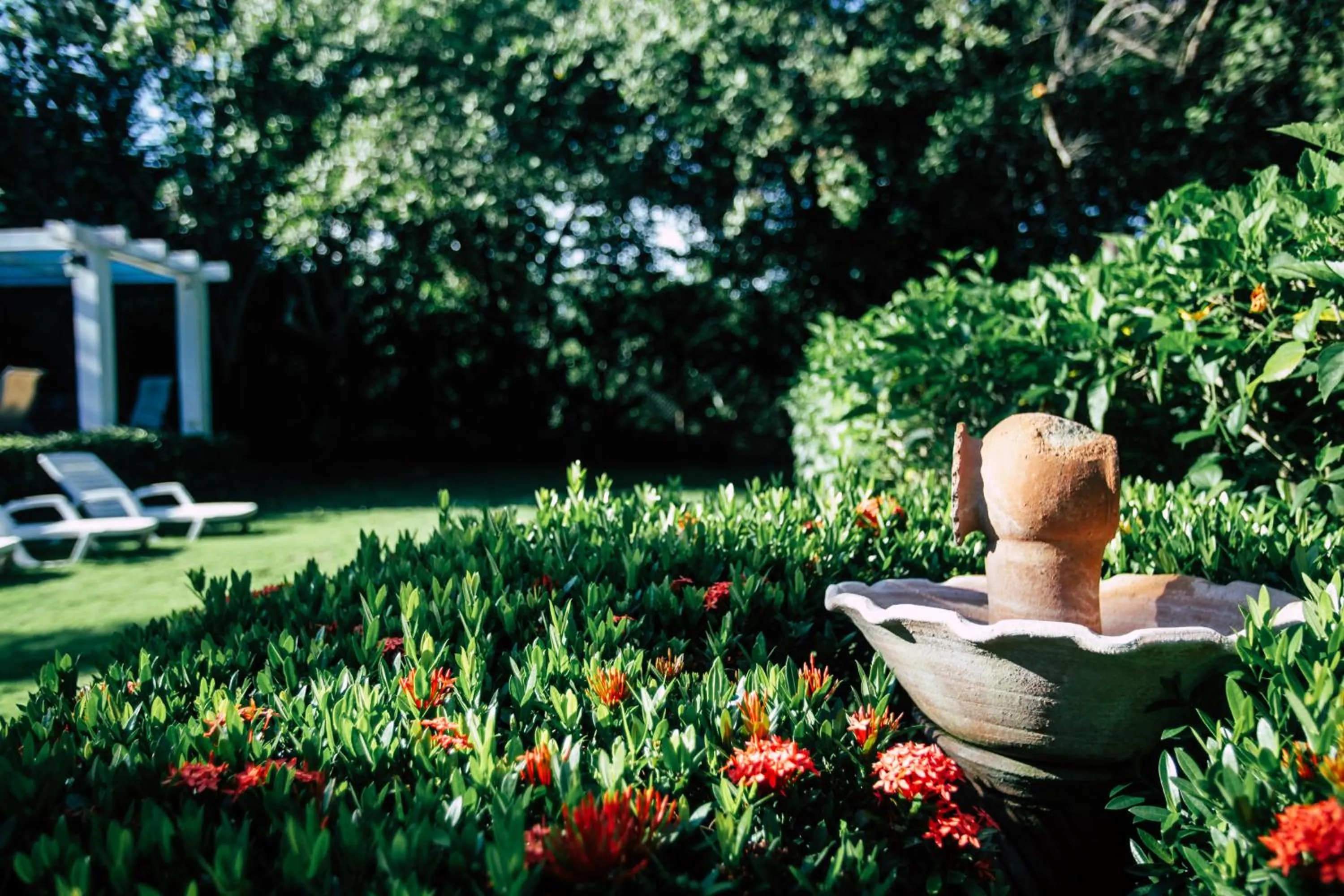 Patio in Manglar Lodge