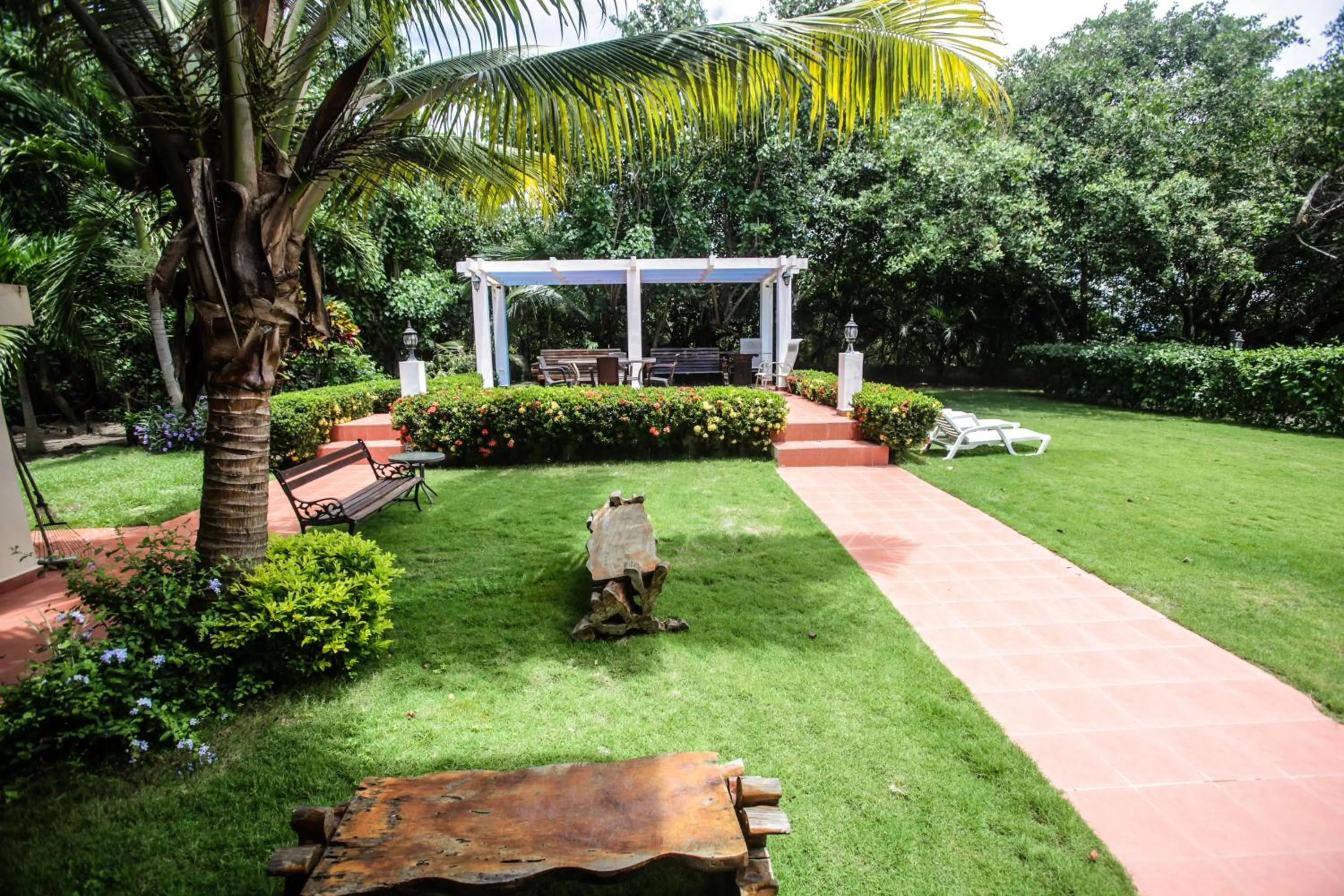 Patio in Manglar Lodge