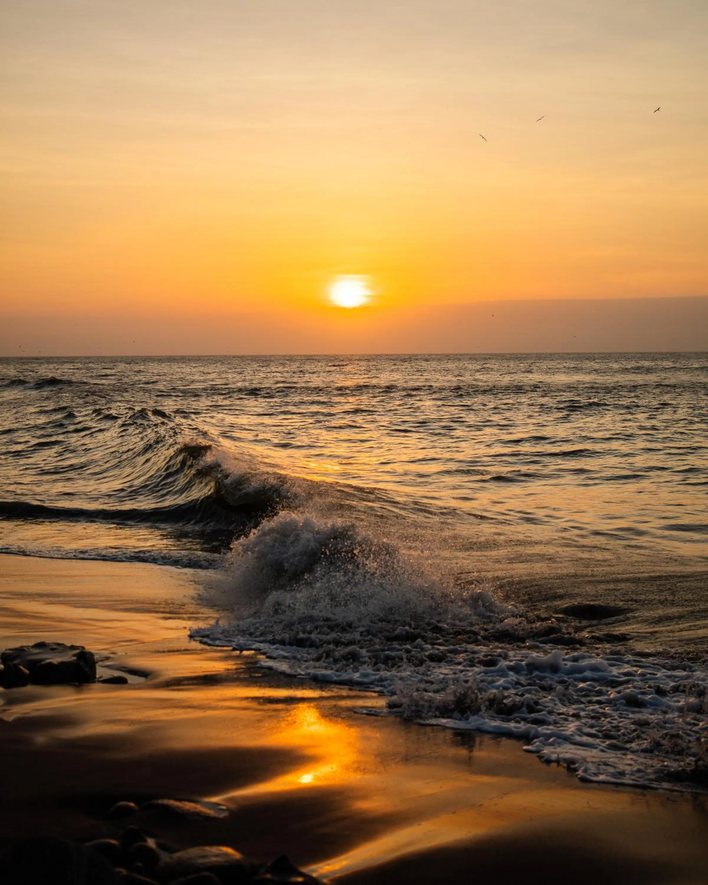 Beach in Manglar Lodge