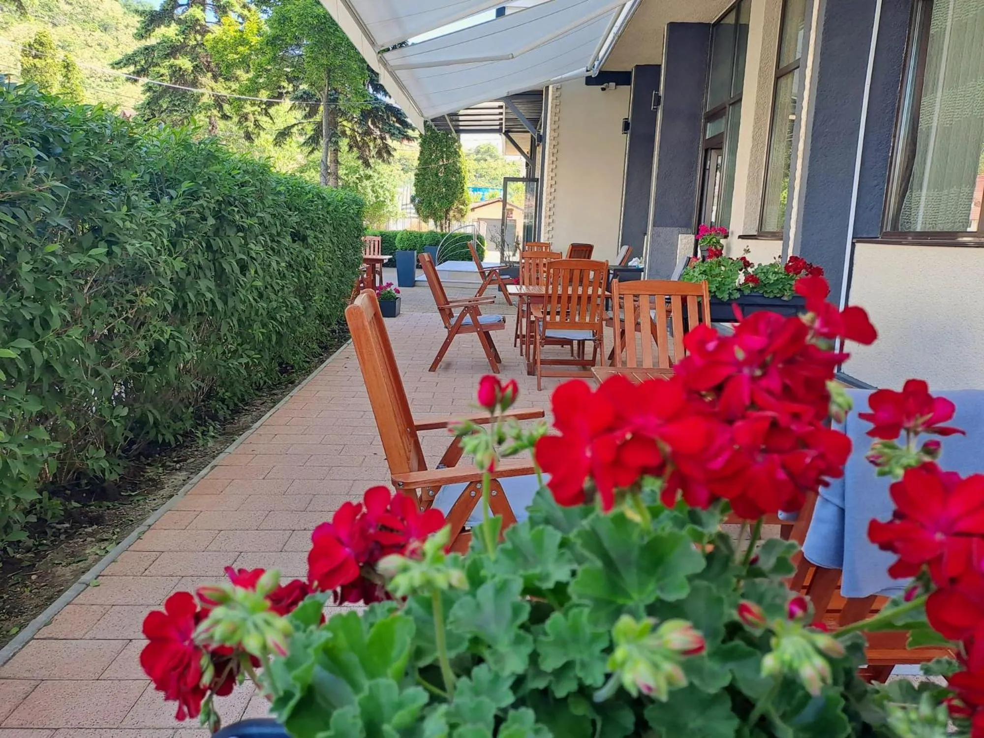 Restaurant/places to eat in Hotel Restaurant Imperial