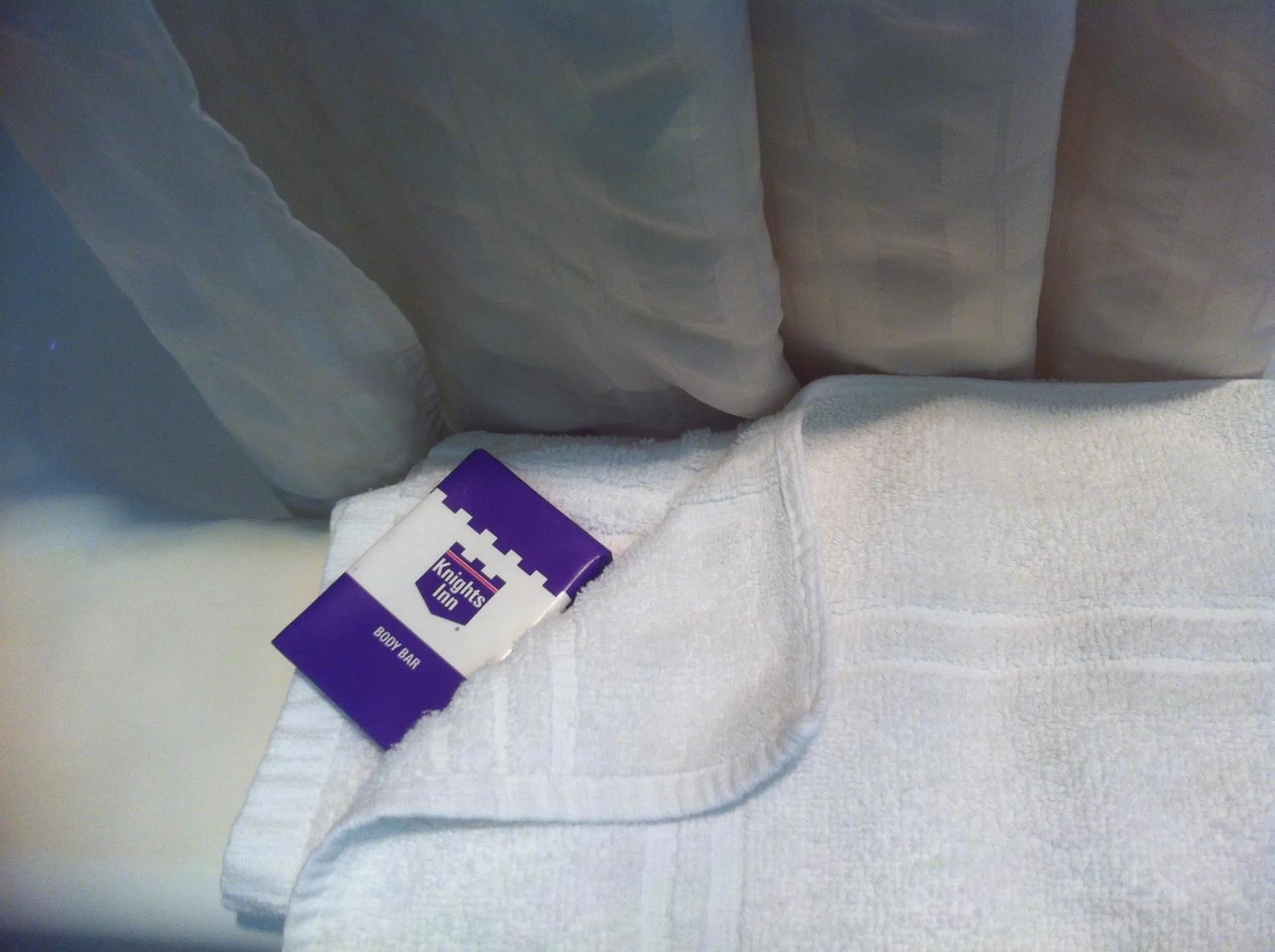 Shower in Red Carpet Inn