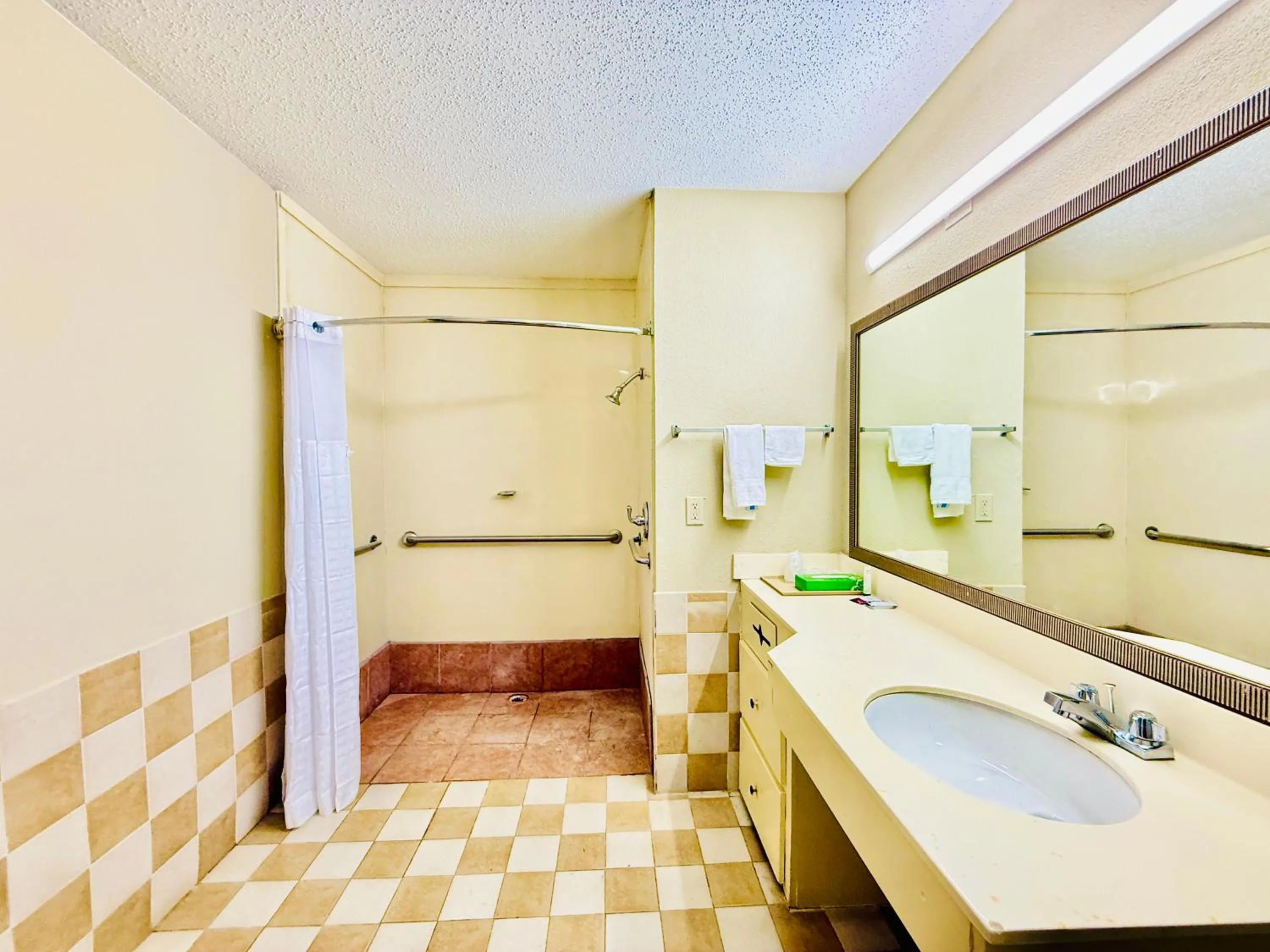 Bathroom in Travelodge by Wyndham-Thomasville AL