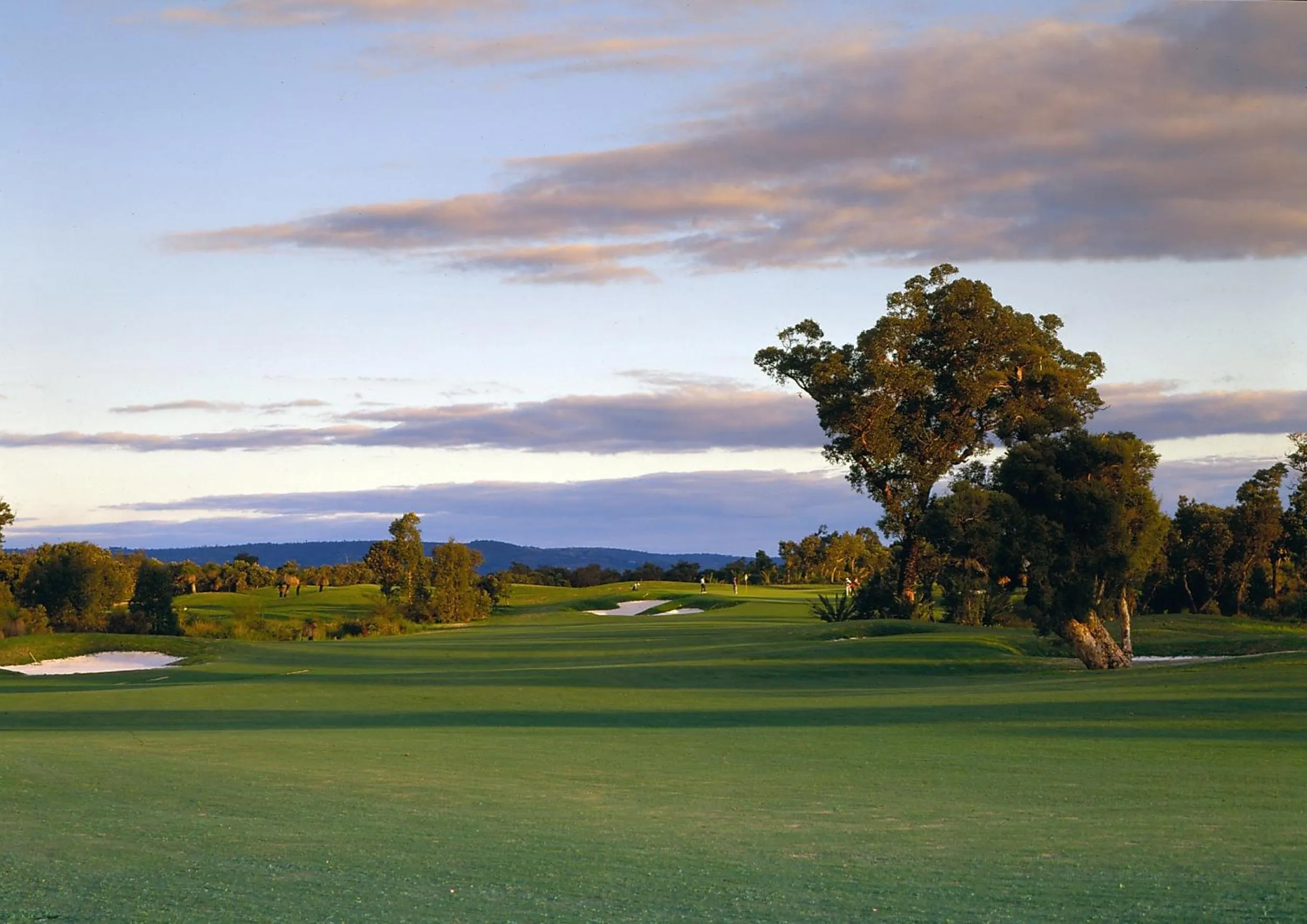 Golfcourse in Novotel Vines Resort Swan Valley
