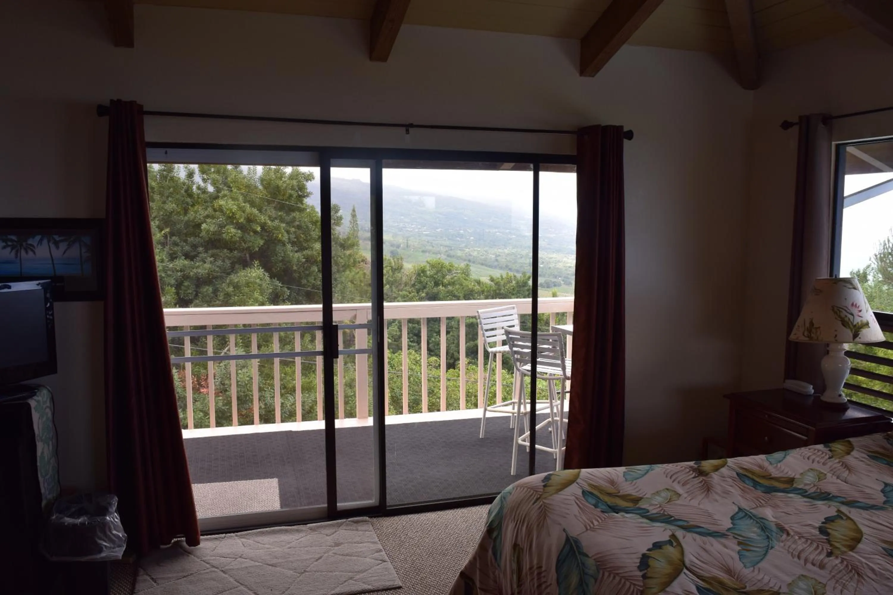 Natural landscape in A Beautiful Edge of the World Bed & Breakfast