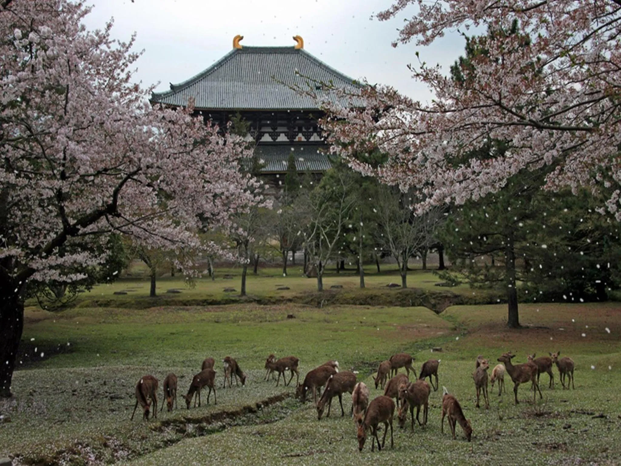 Day in Hotel Raizan South
