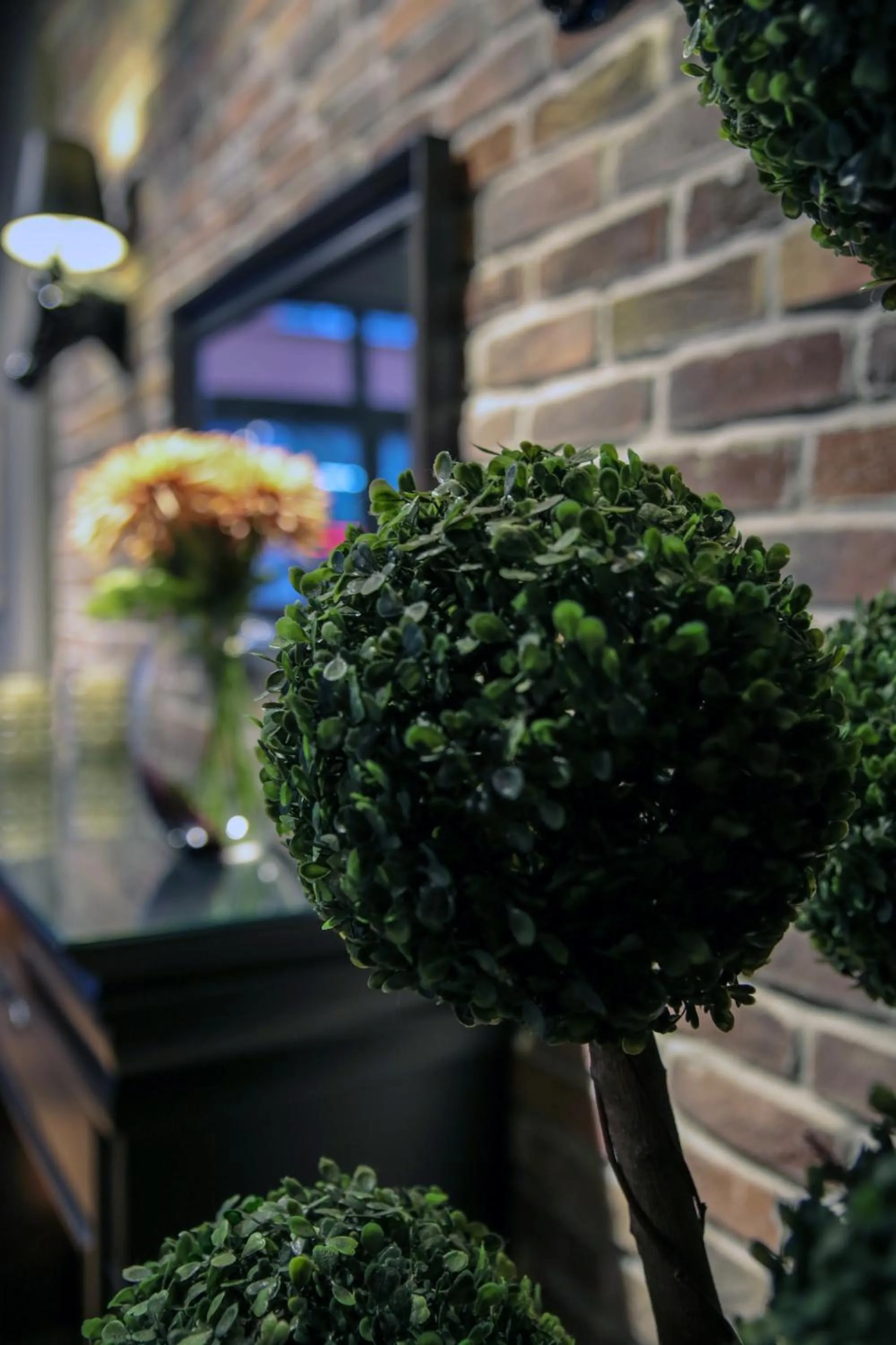 Lobby or reception in Akin Suites