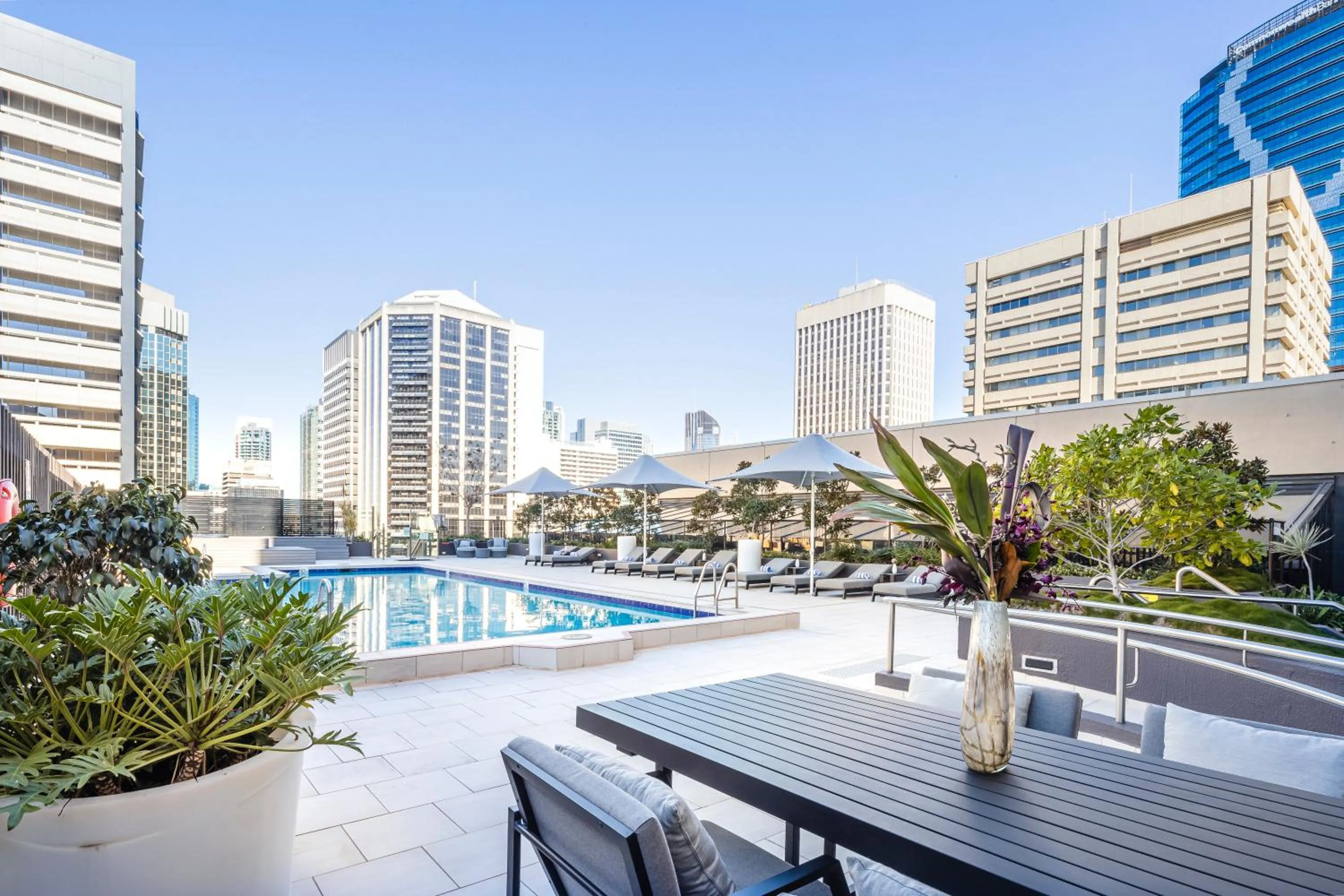 Swimming pool in Sofitel Brisbane Central