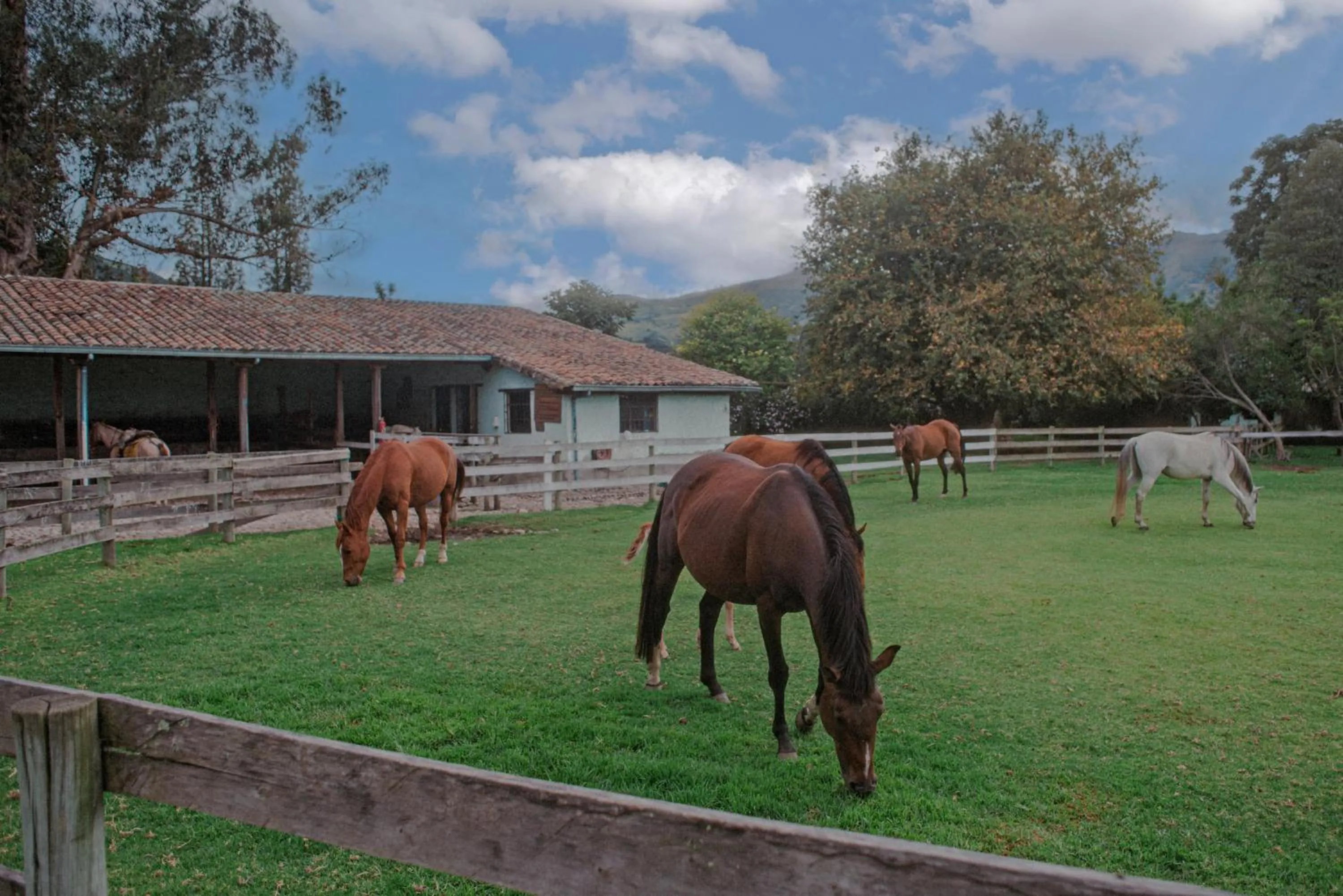 Horse-riding in Hacienda Cusin