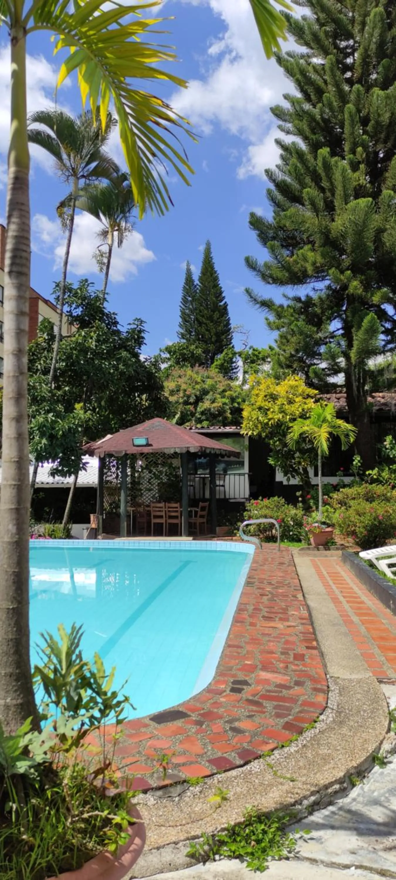 Pool view in Hotel Premium Real