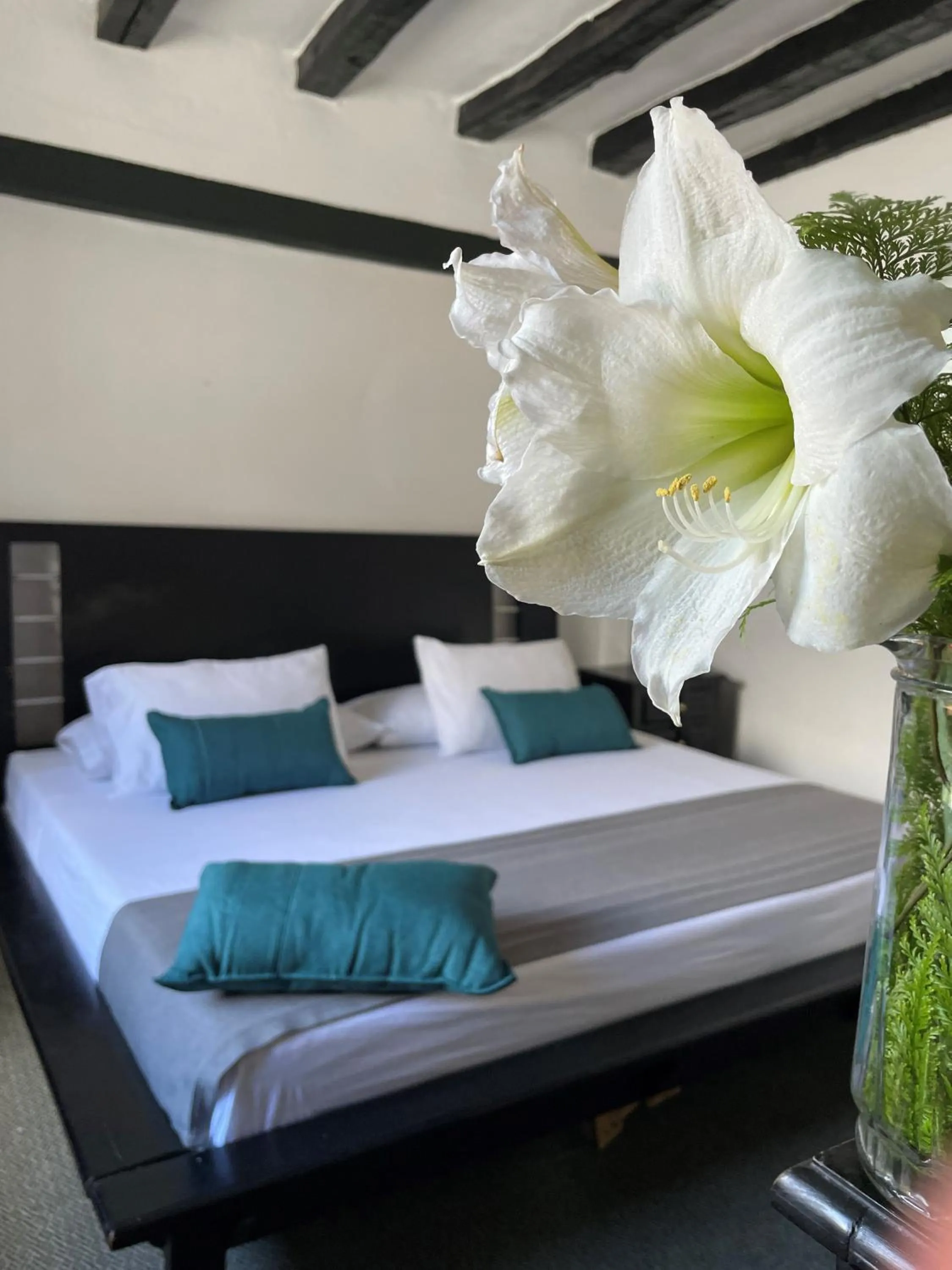 Bed in Hotel Premium Real