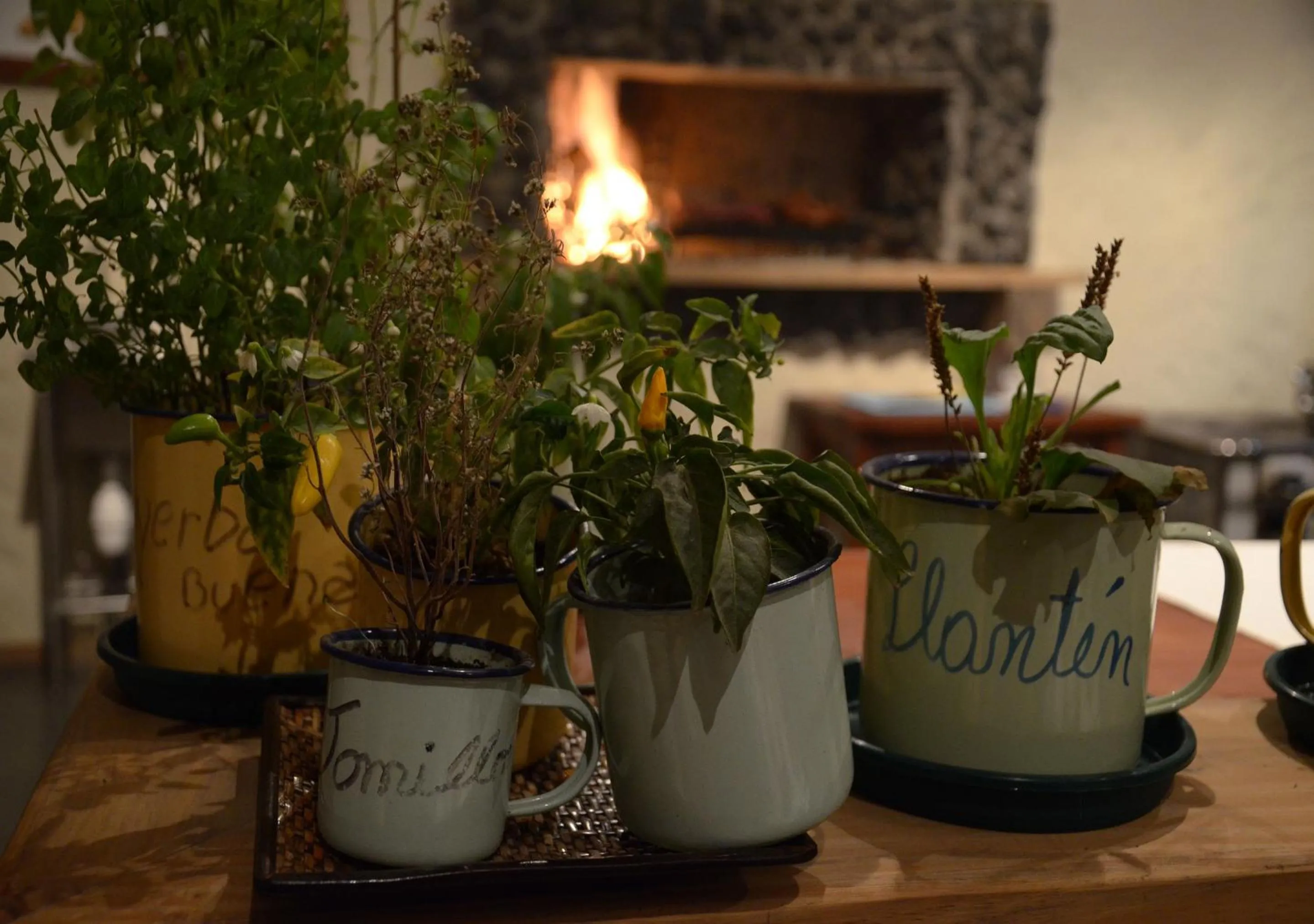 Hotel CasaEstablo by DOT Boutique