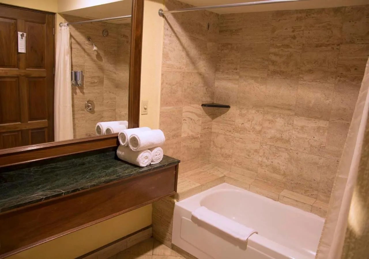 Bathroom in Wyndham San Jose Herradura