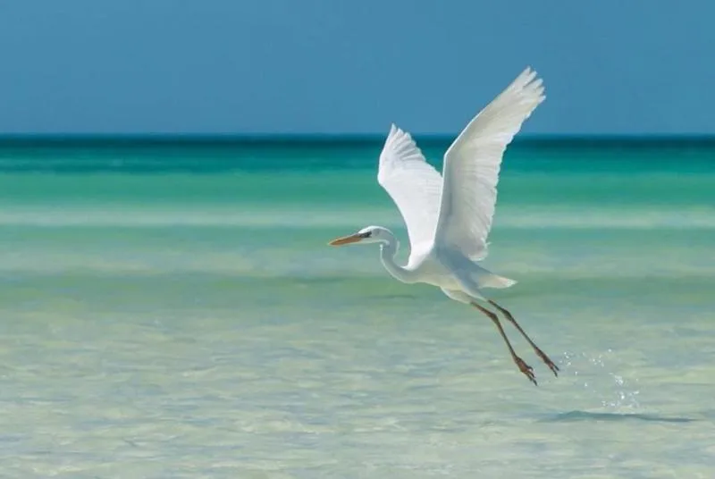 Activities in Palapas del Sol