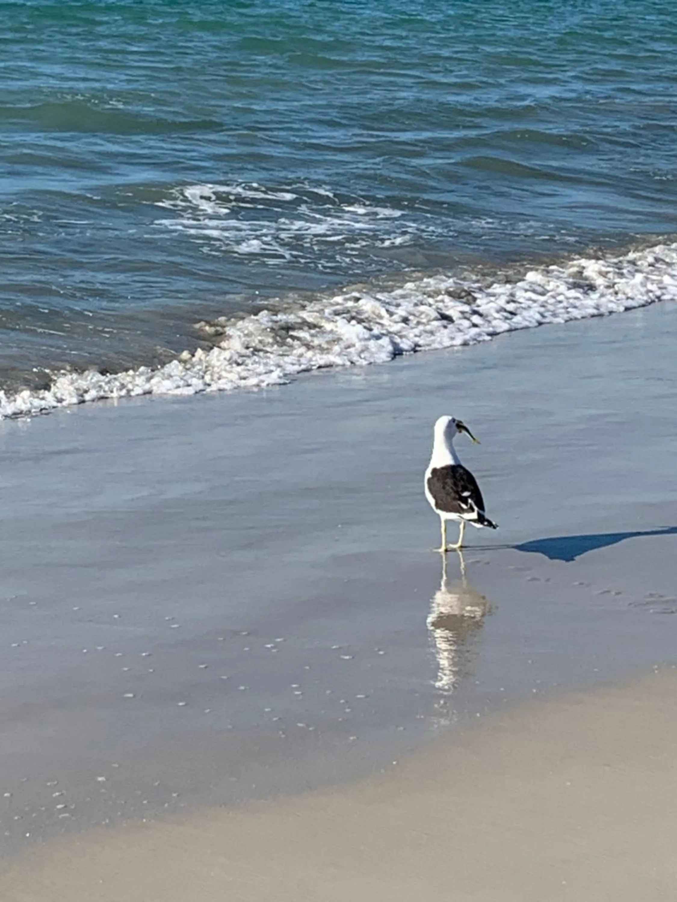 Canascenter Apart Hotel