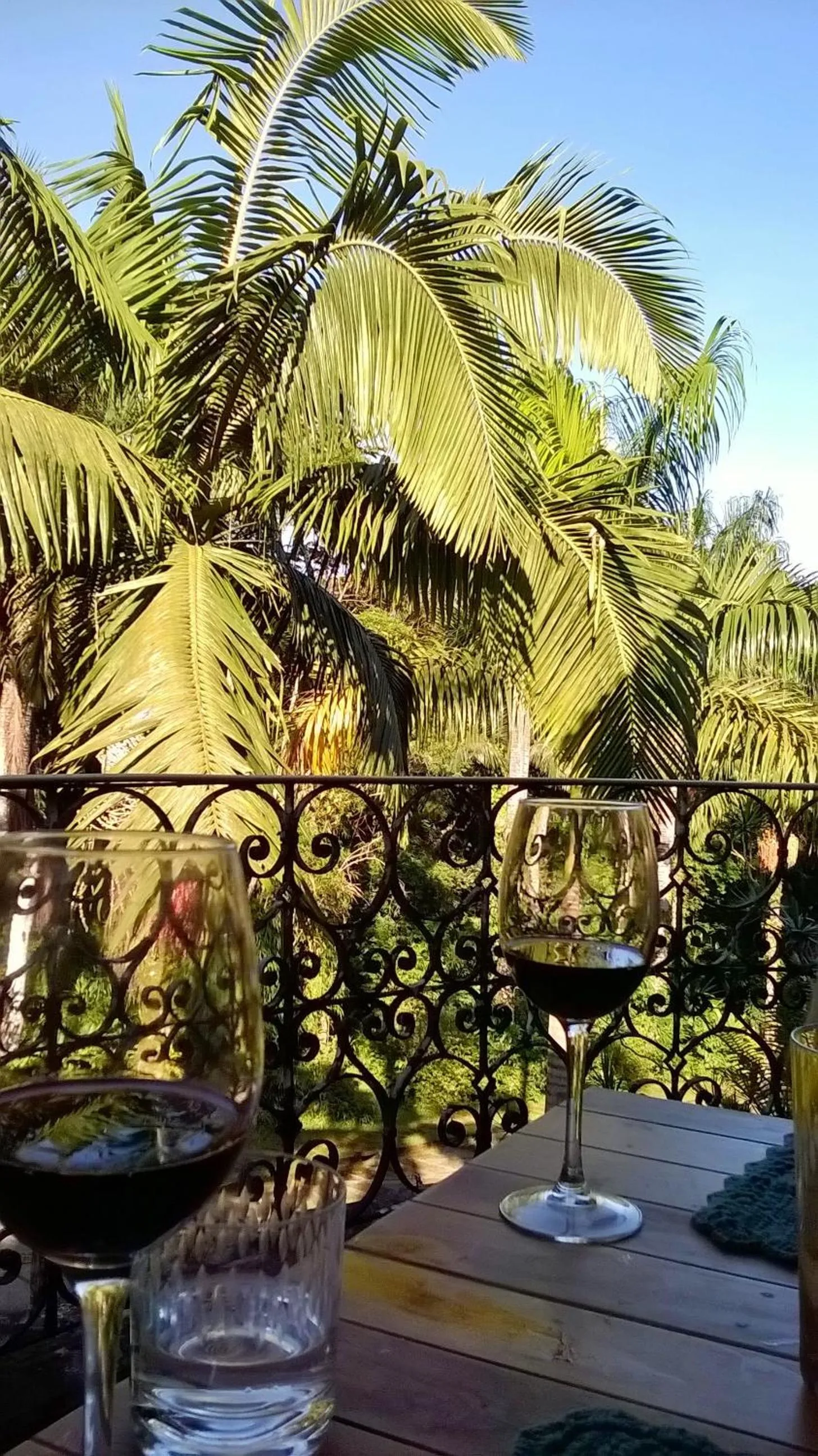 Lounge or bar in Pousada Sitio Araribá