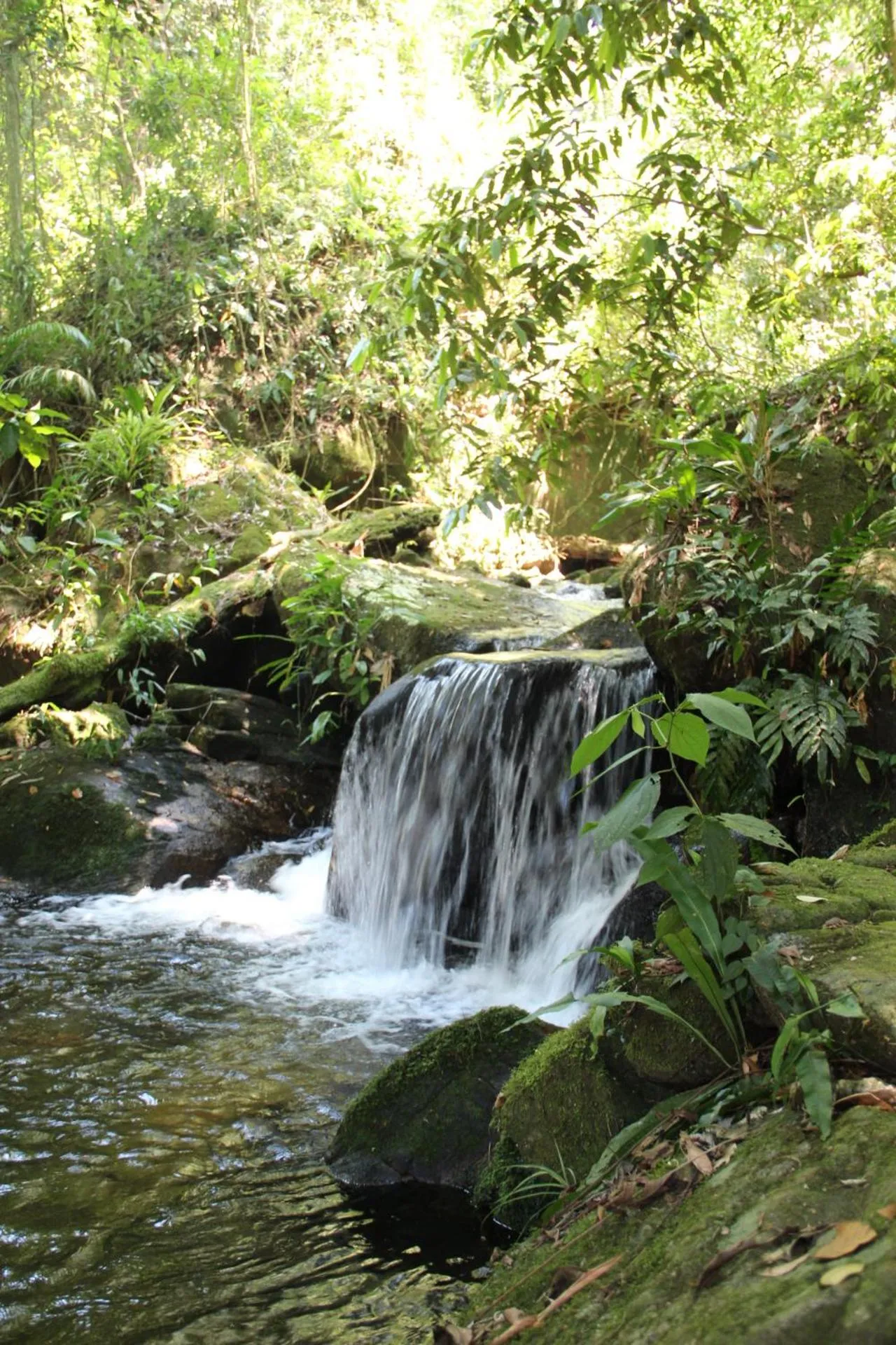 Pousada Sitio Araribá