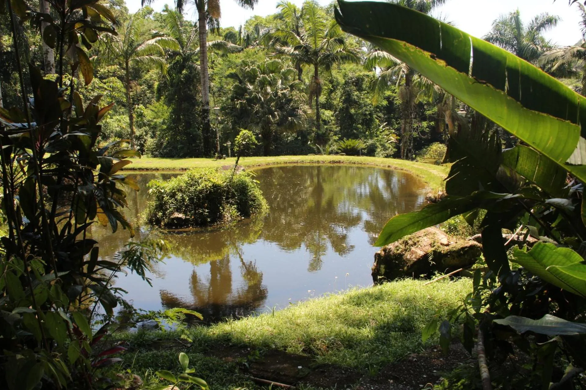 Garden in Pousada Sitio Araribá