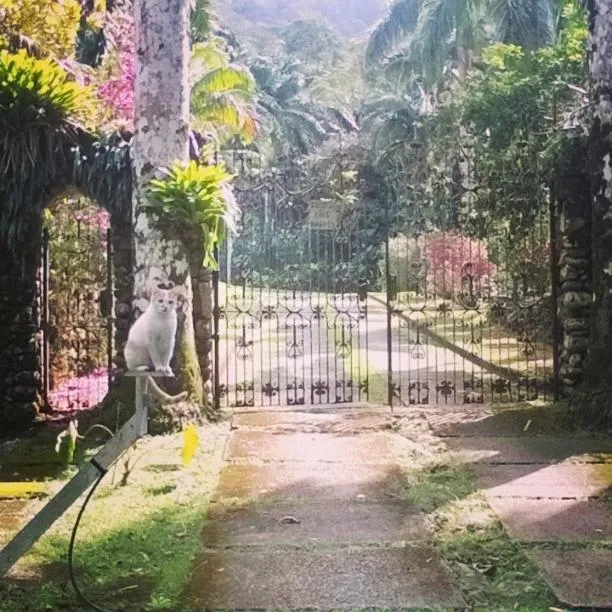Garden in Pousada Sitio Araribá