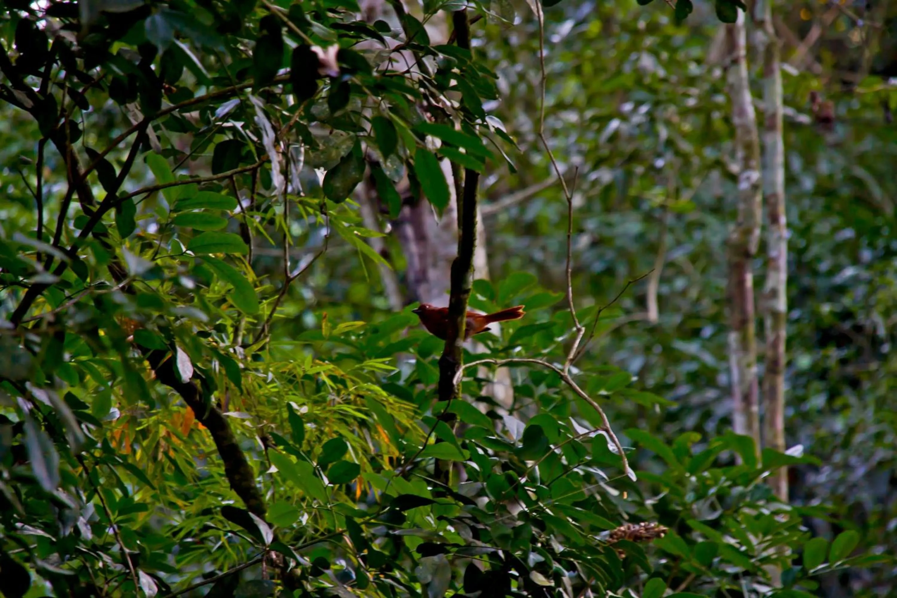Natural landscape in Tierra Guaraní Lodge