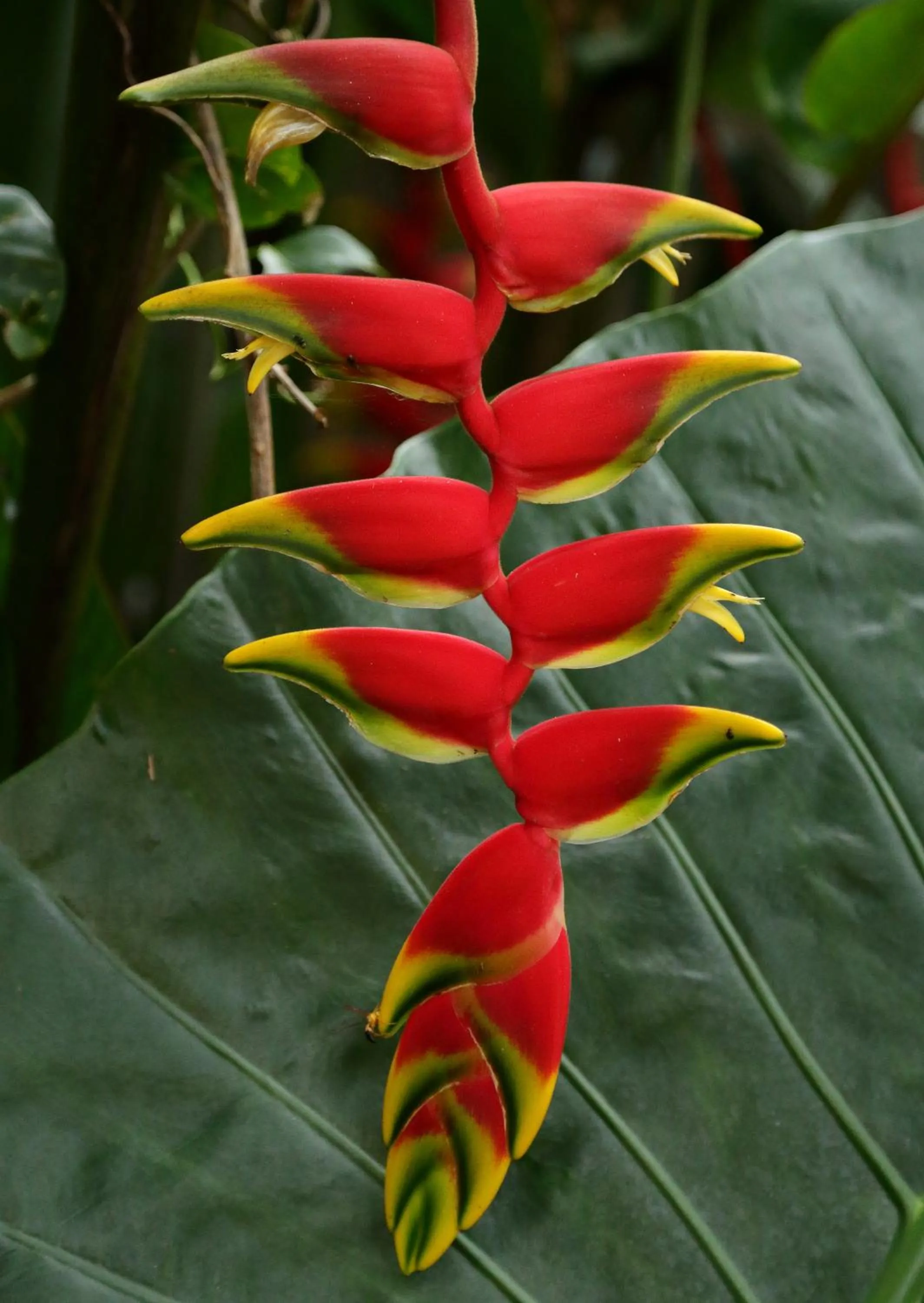 Other in Tierra Guaraní Lodge
