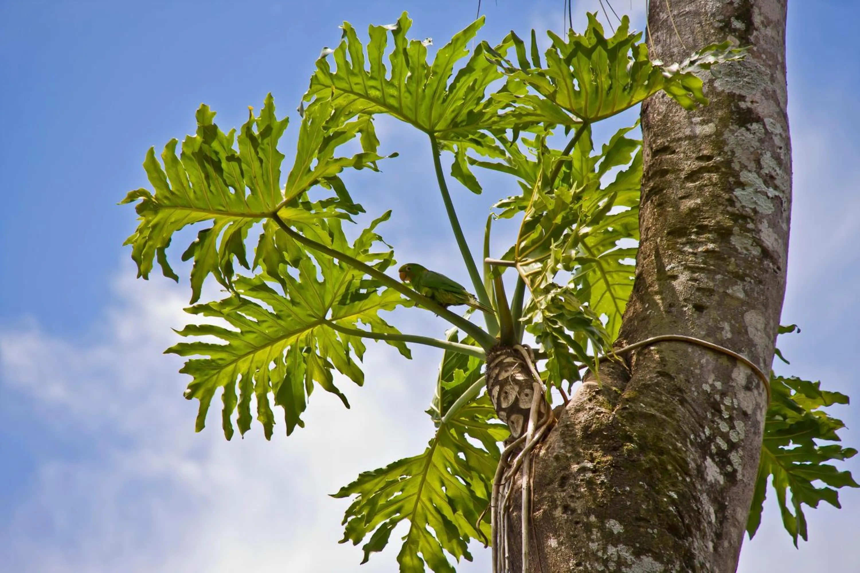 Day in Tierra Guaraní Lodge