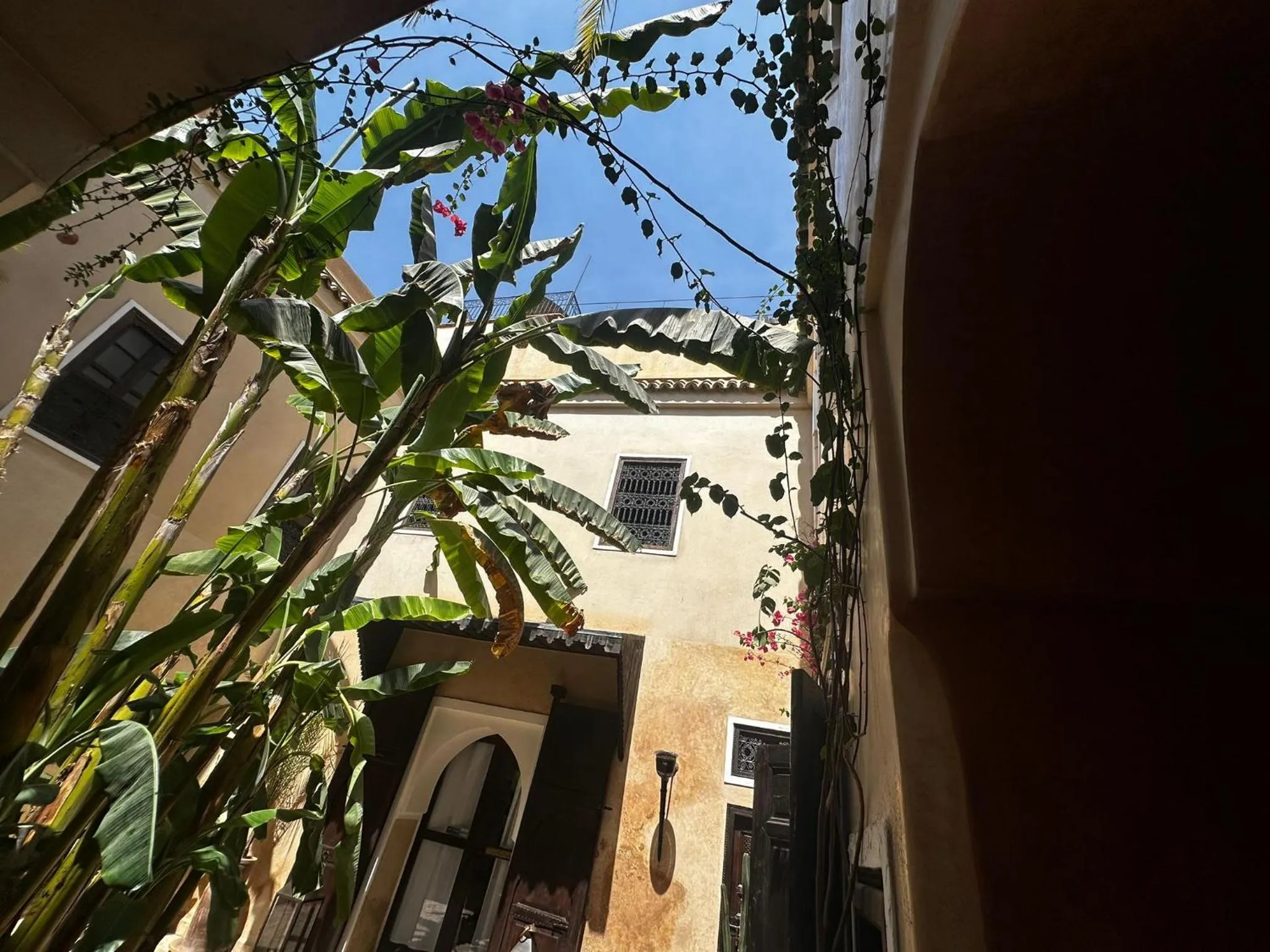 Patio in Riad Bamileke