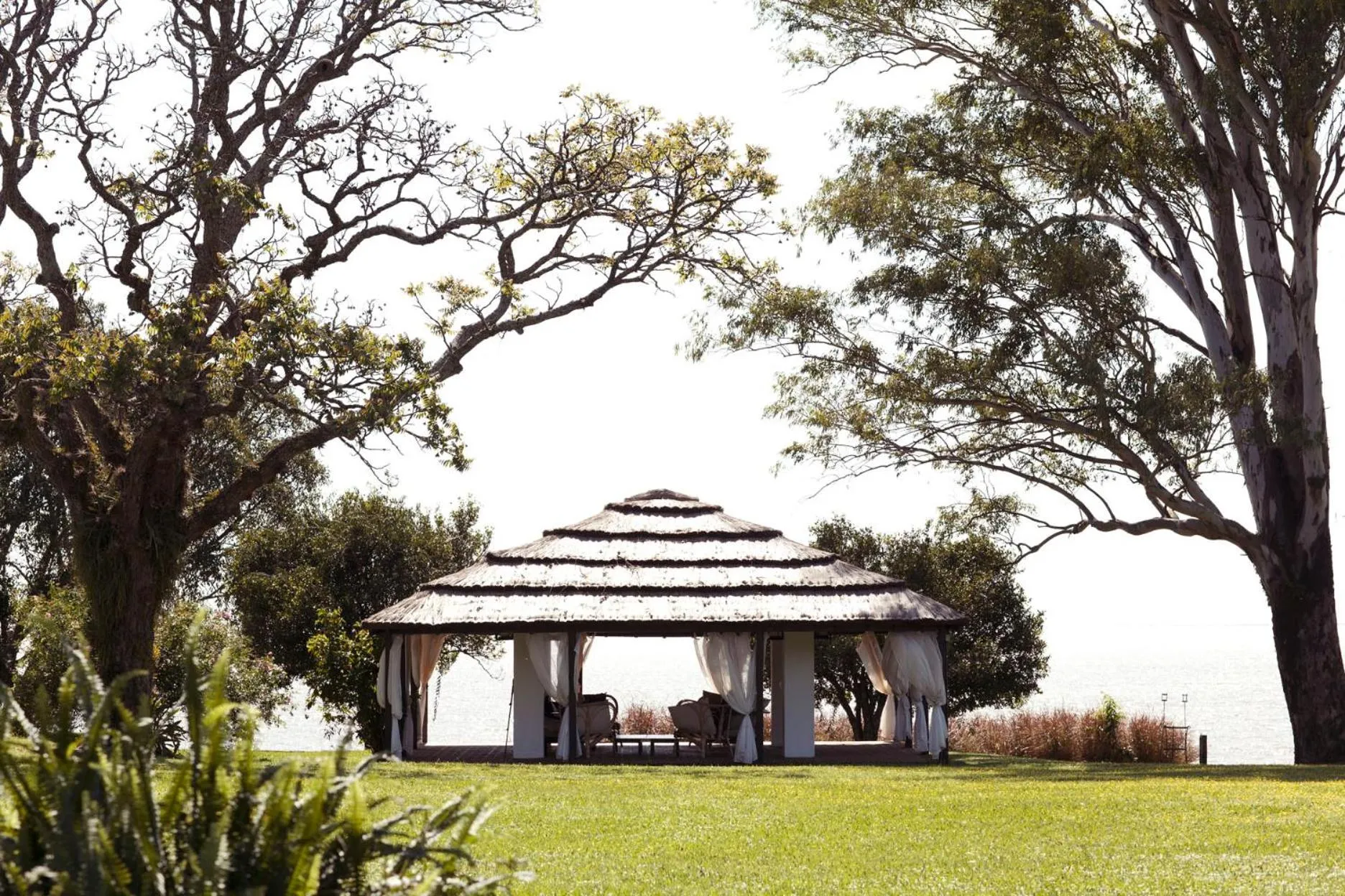 Garden in Puerto Valle Hotel de Esteros