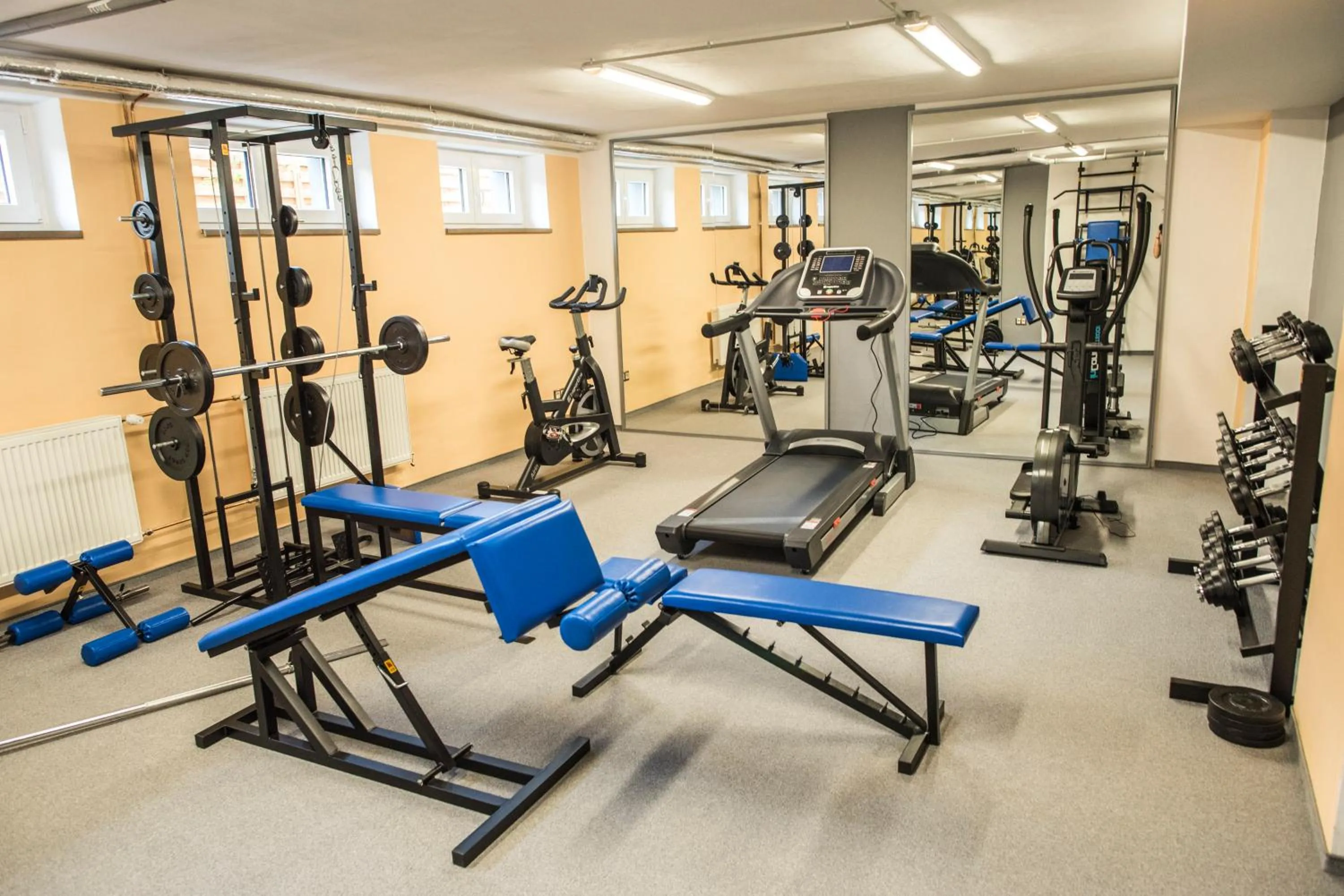 Fitness centre/facilities in Hotel Na Vývoji