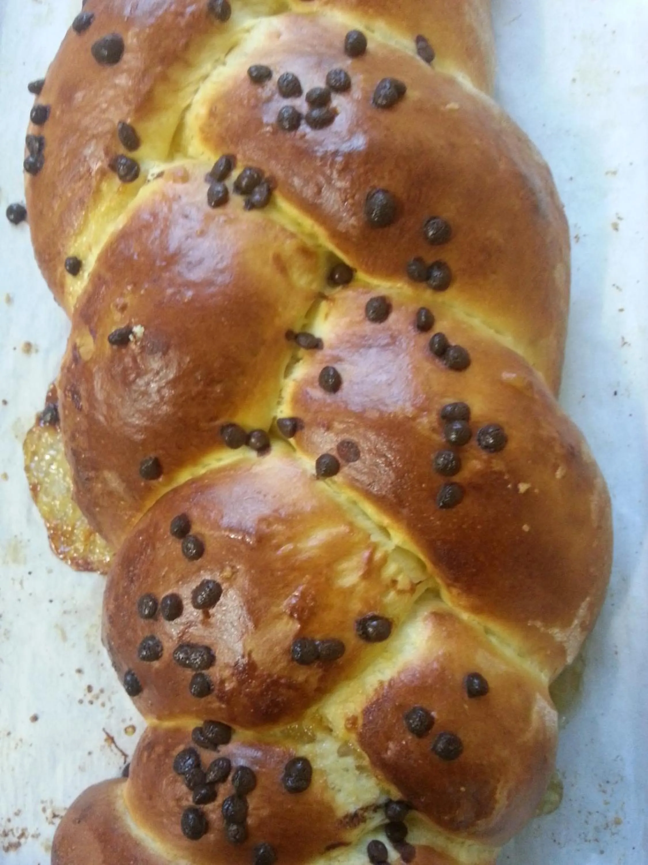 Restaurant/places to eat in Hotel Alsen