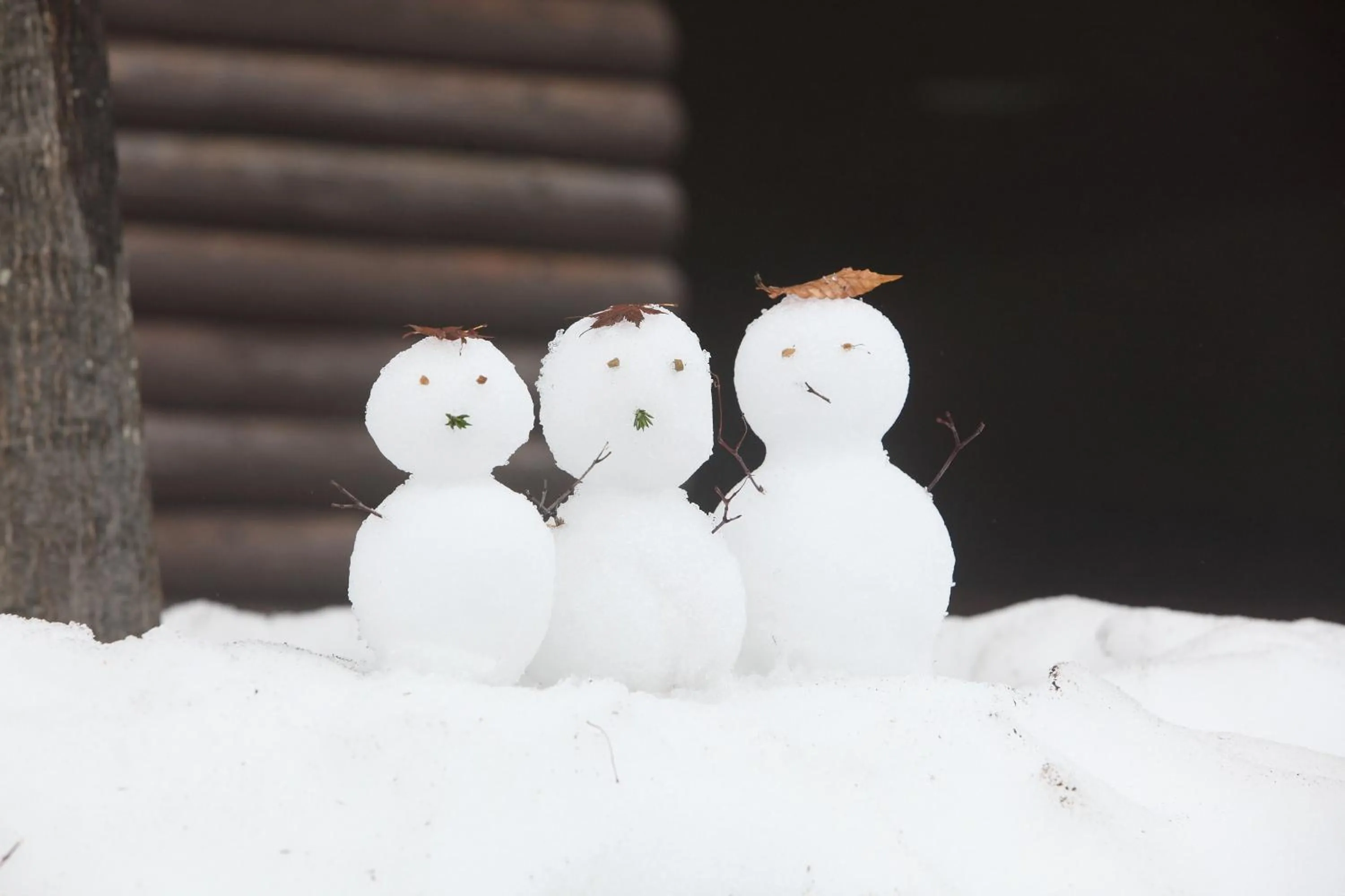 Winter in TOYOTA Shirakawa-Go Eco-Institute