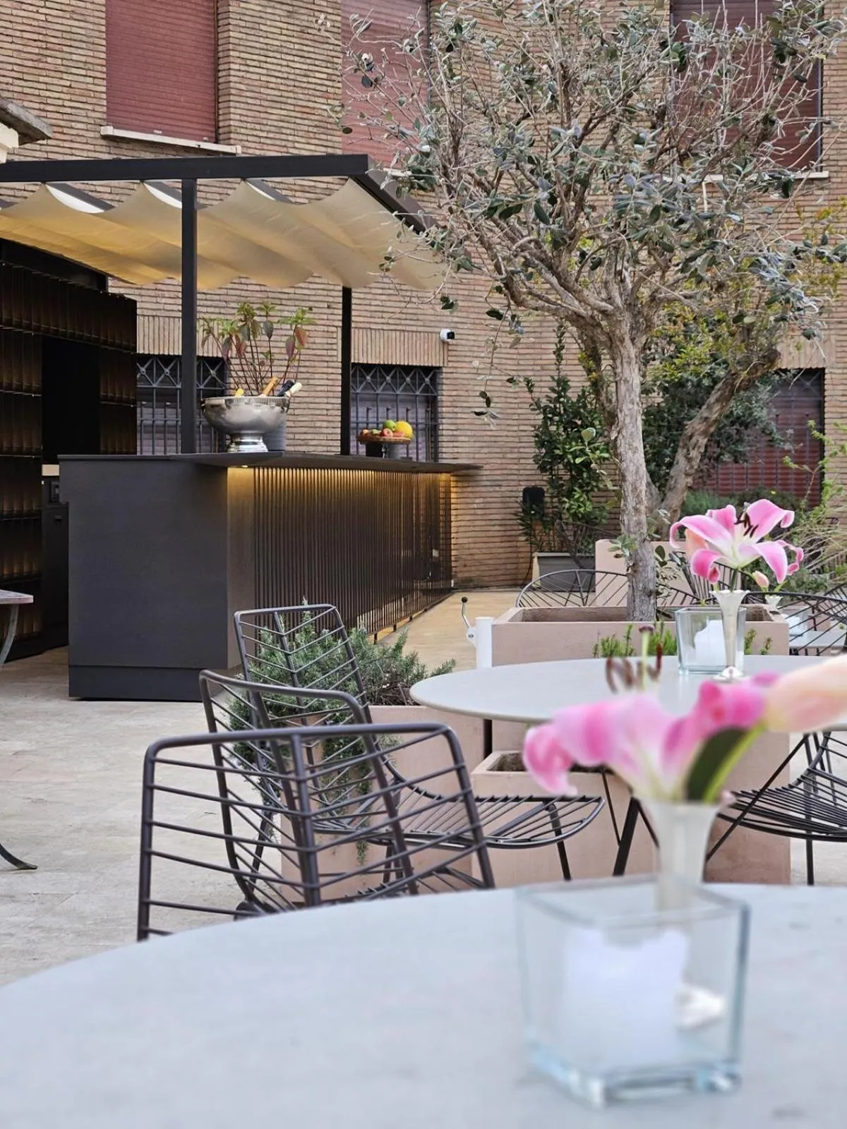 Balcony/Terrace in Hotel Royal Bissolati