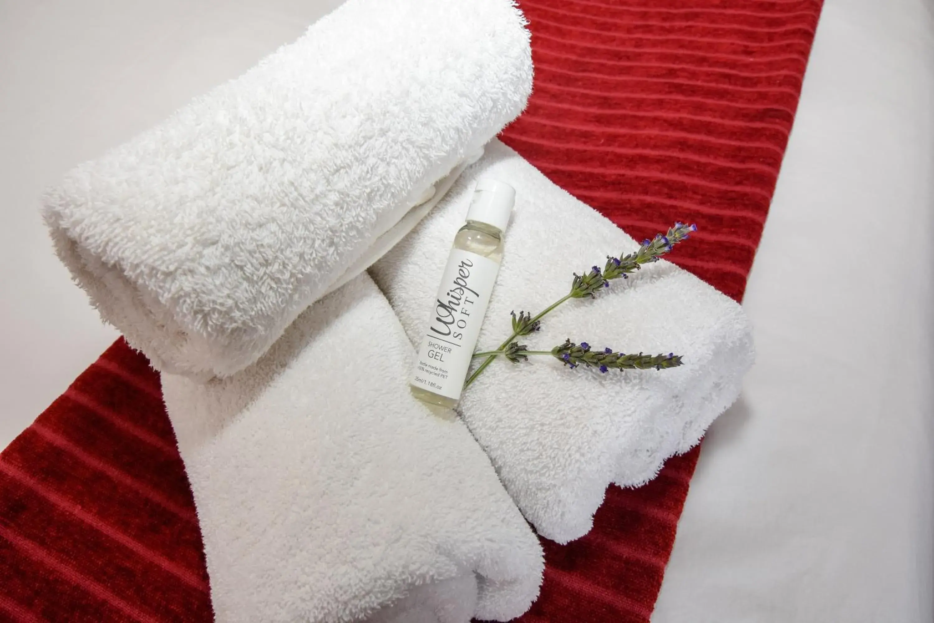 Family Room in OnQ Accommodation Family Room in OnQ Accommodation