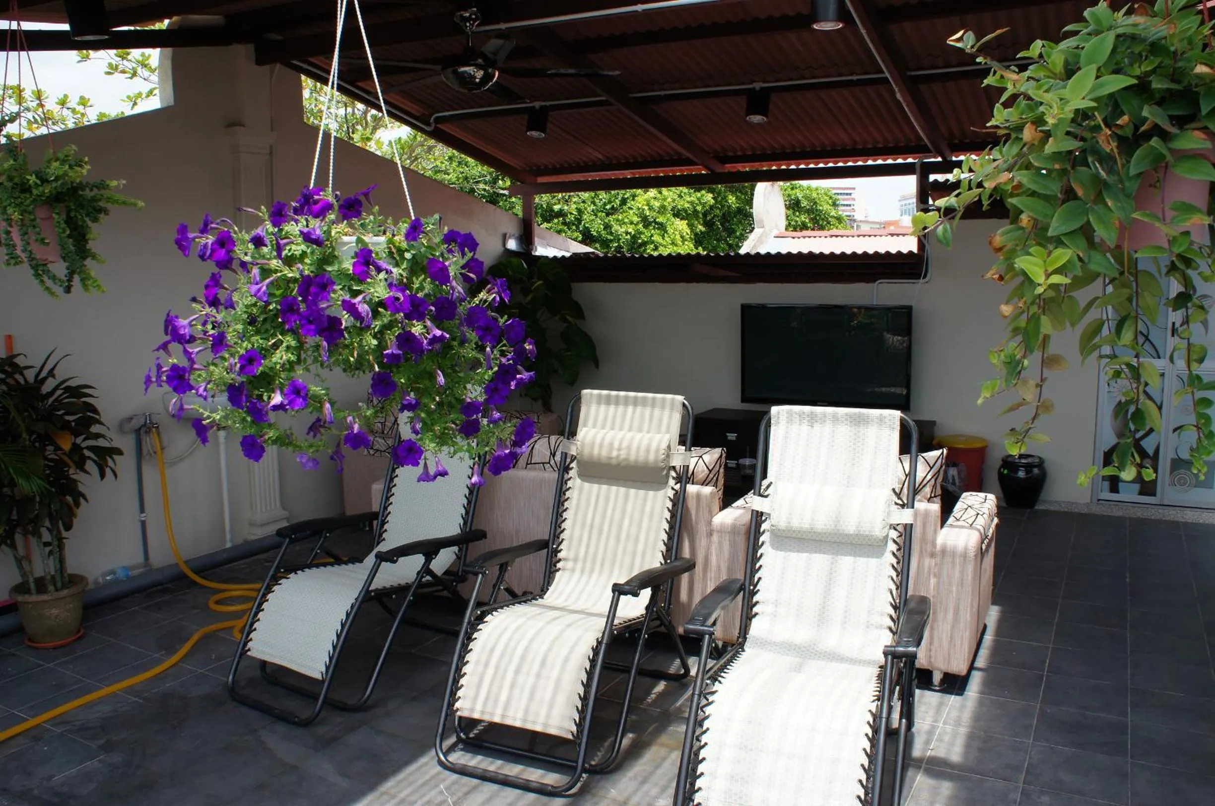 Activities in Hotel Hong