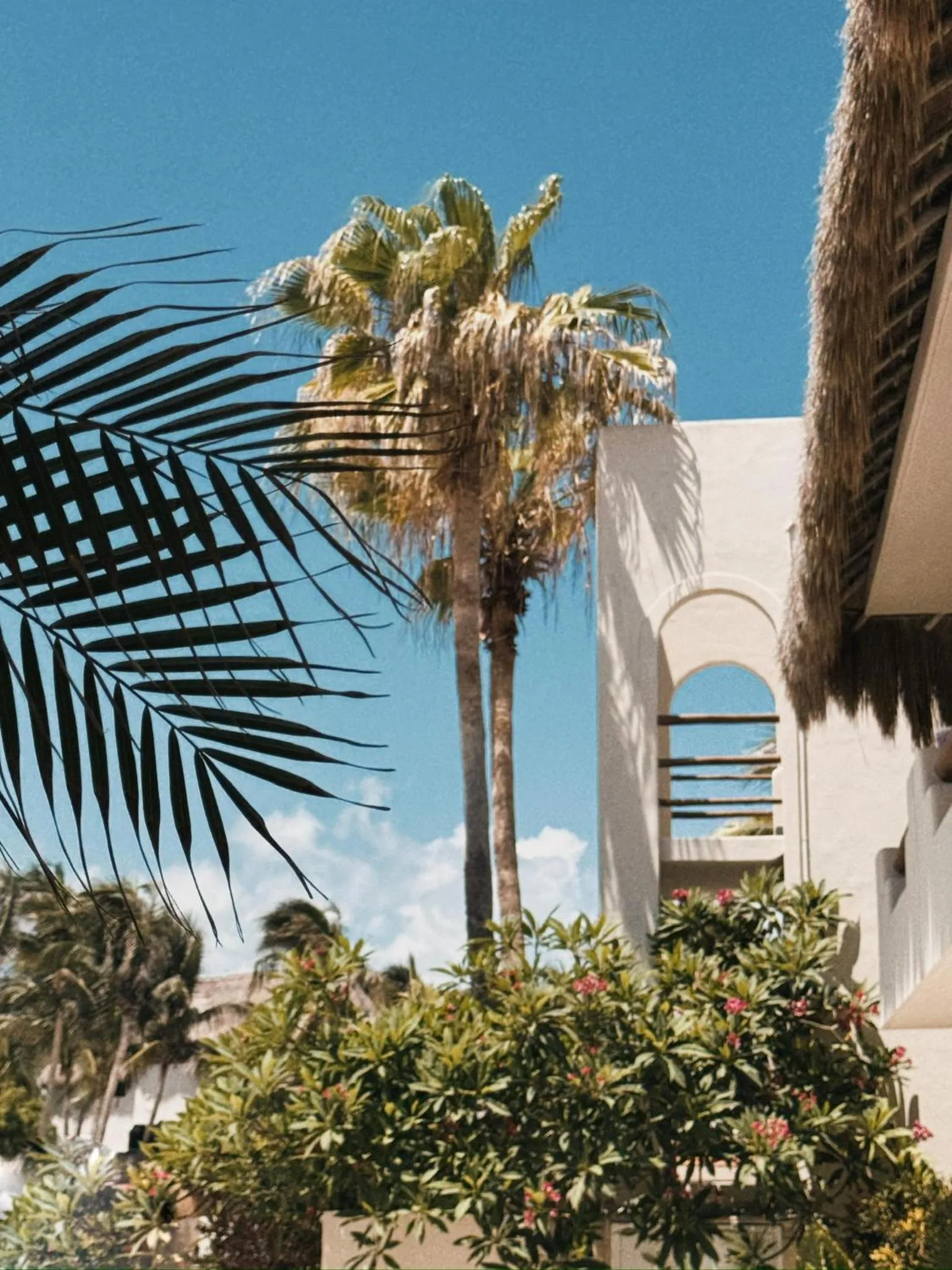 Property building in Paamul Hotel