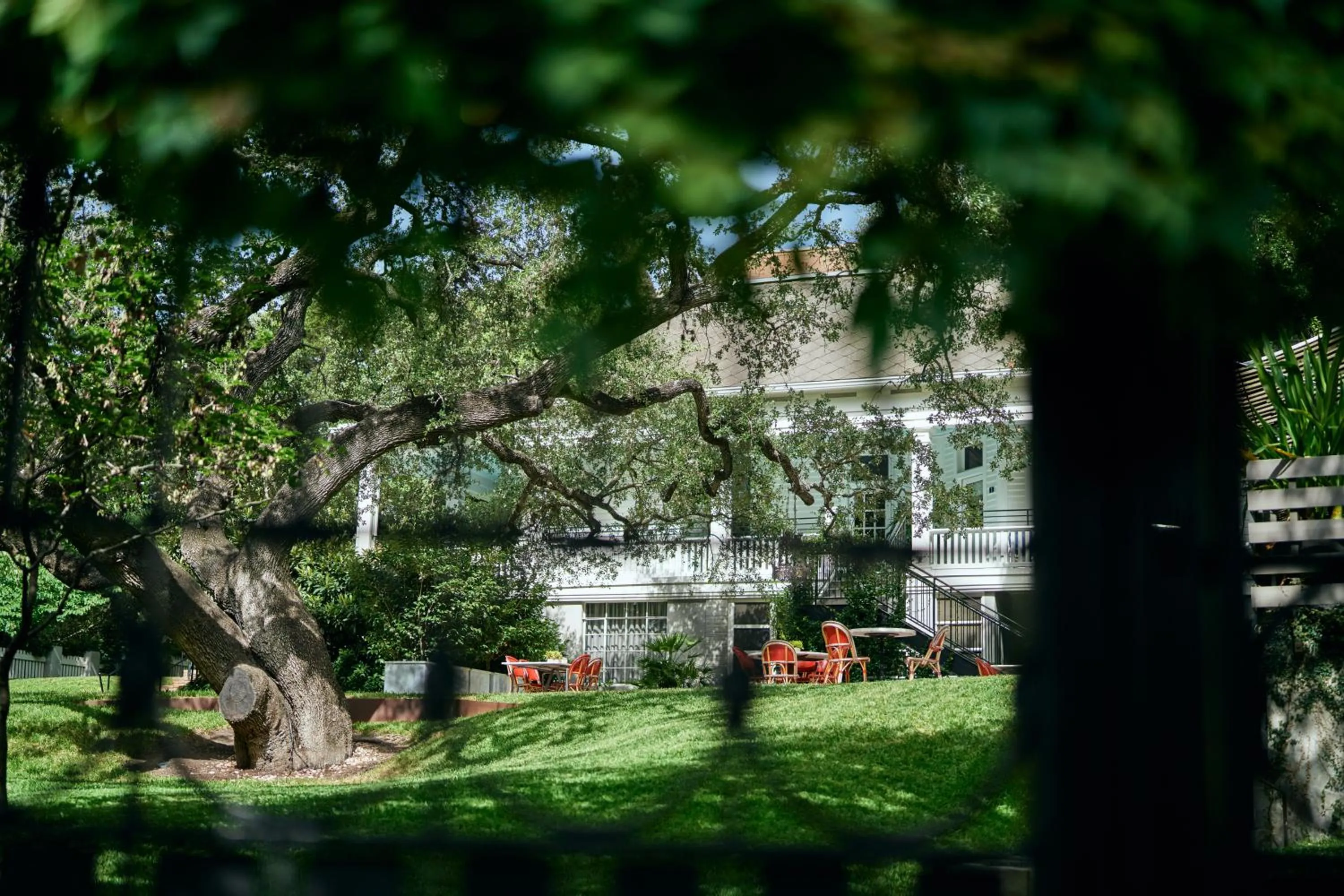 Area and facilities in Hotel Saint Cecilia