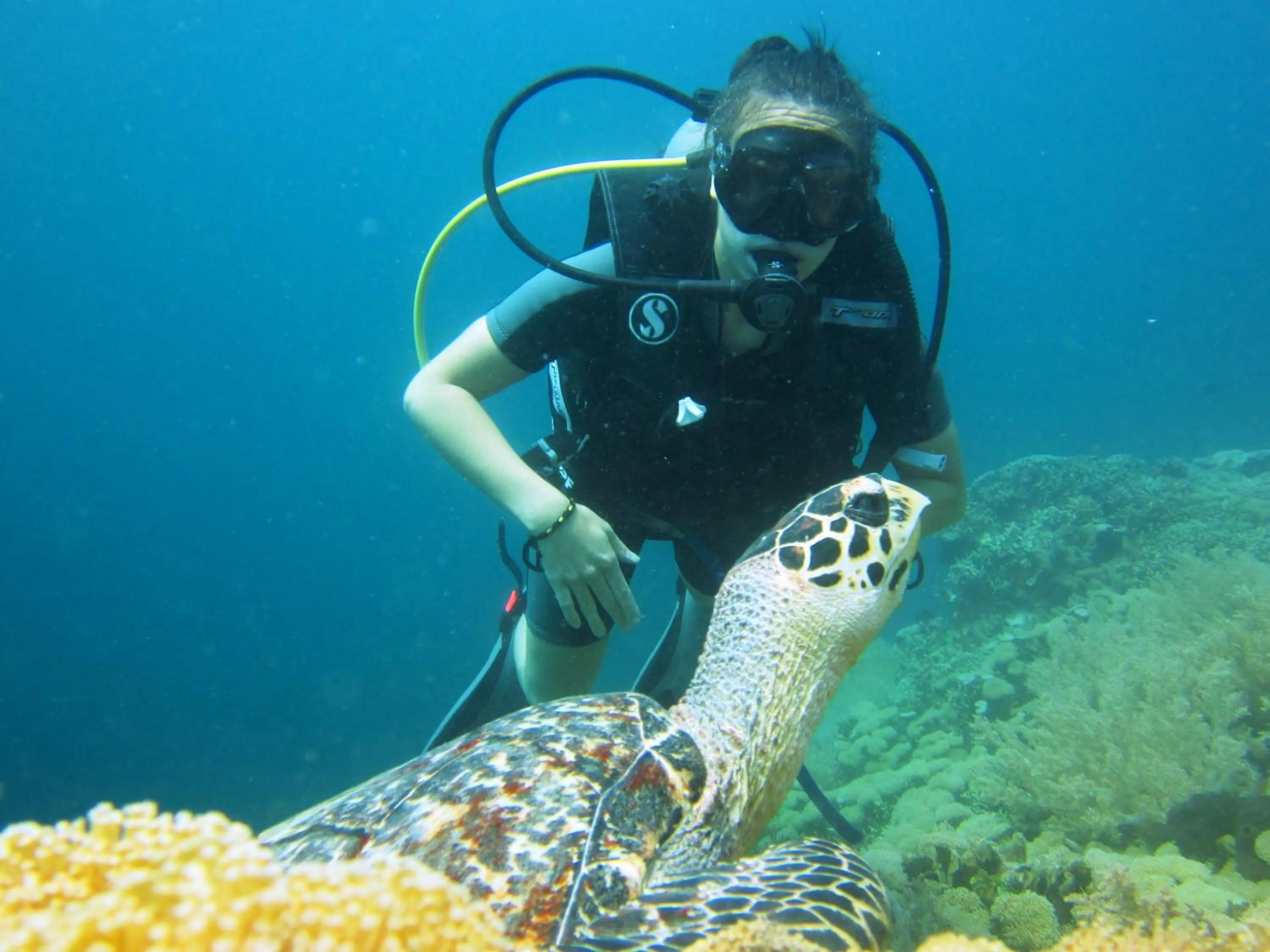 Diving in Kubuku Eco Dive Lodge and Yoga