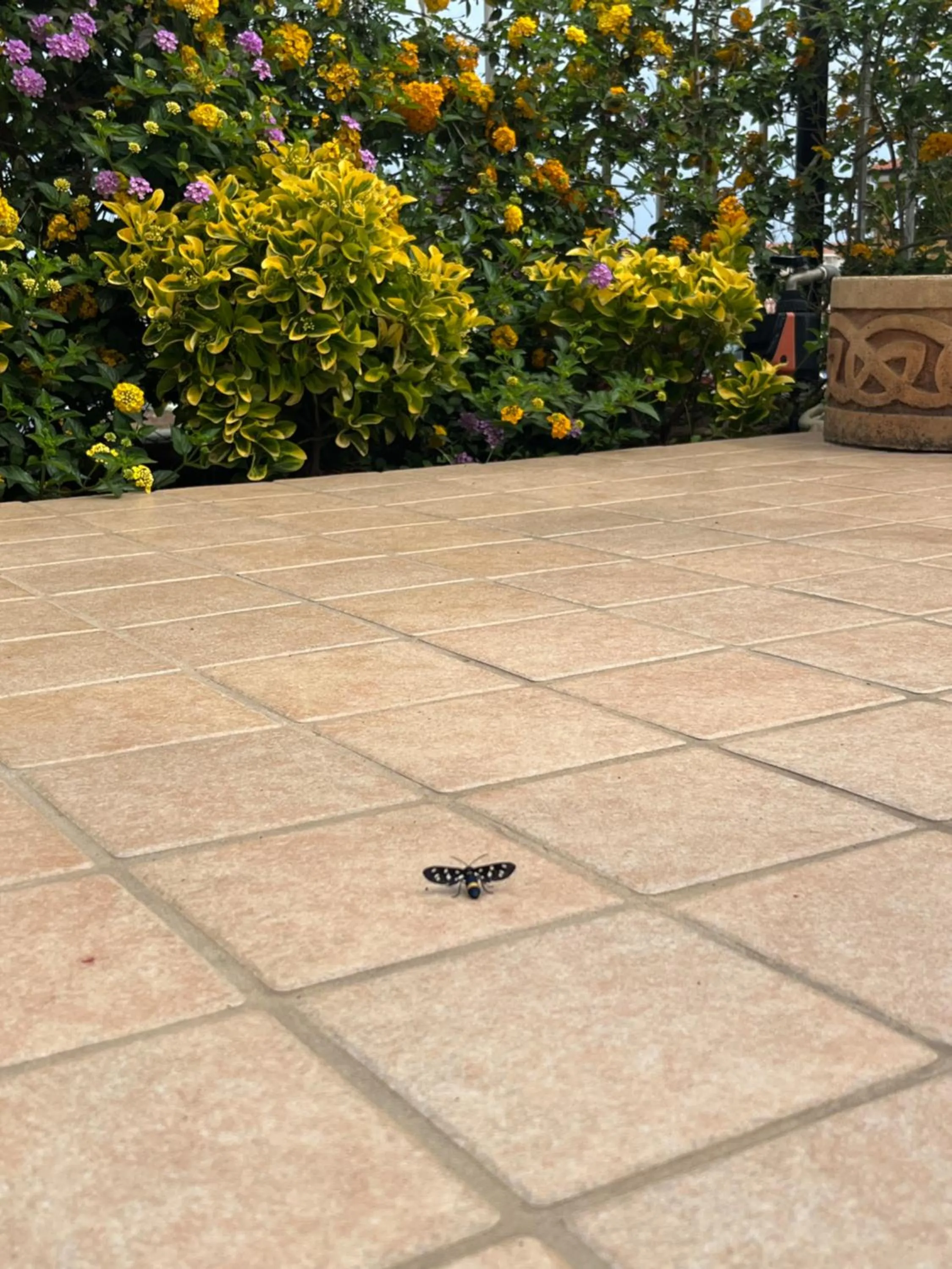 Residenza De luca B&B