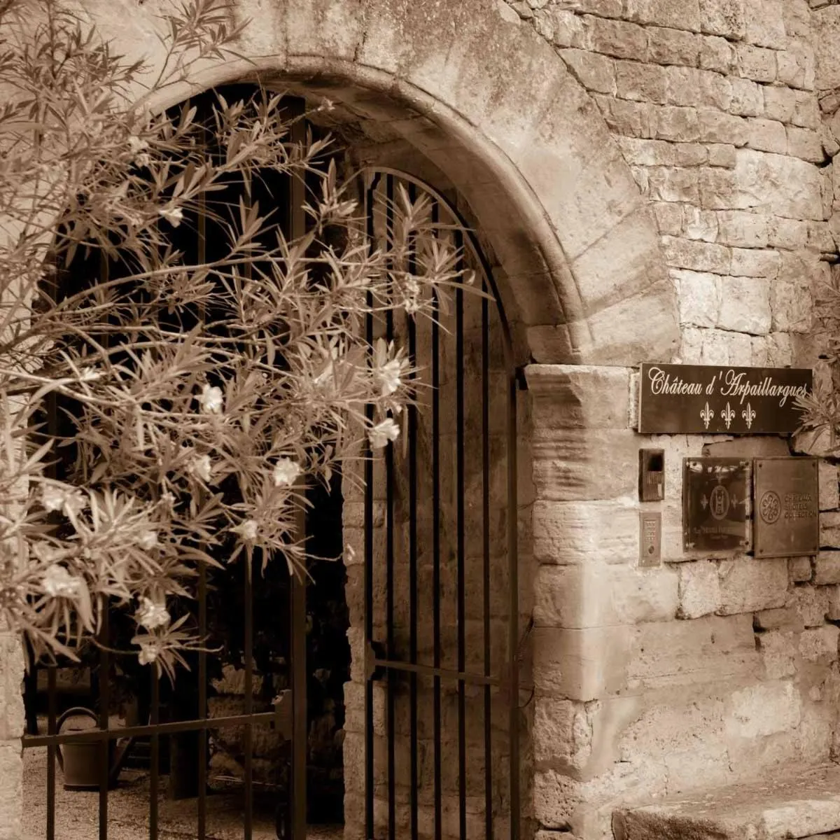 Property logo or sign in Château d'Arpaillargues - TERITORIA