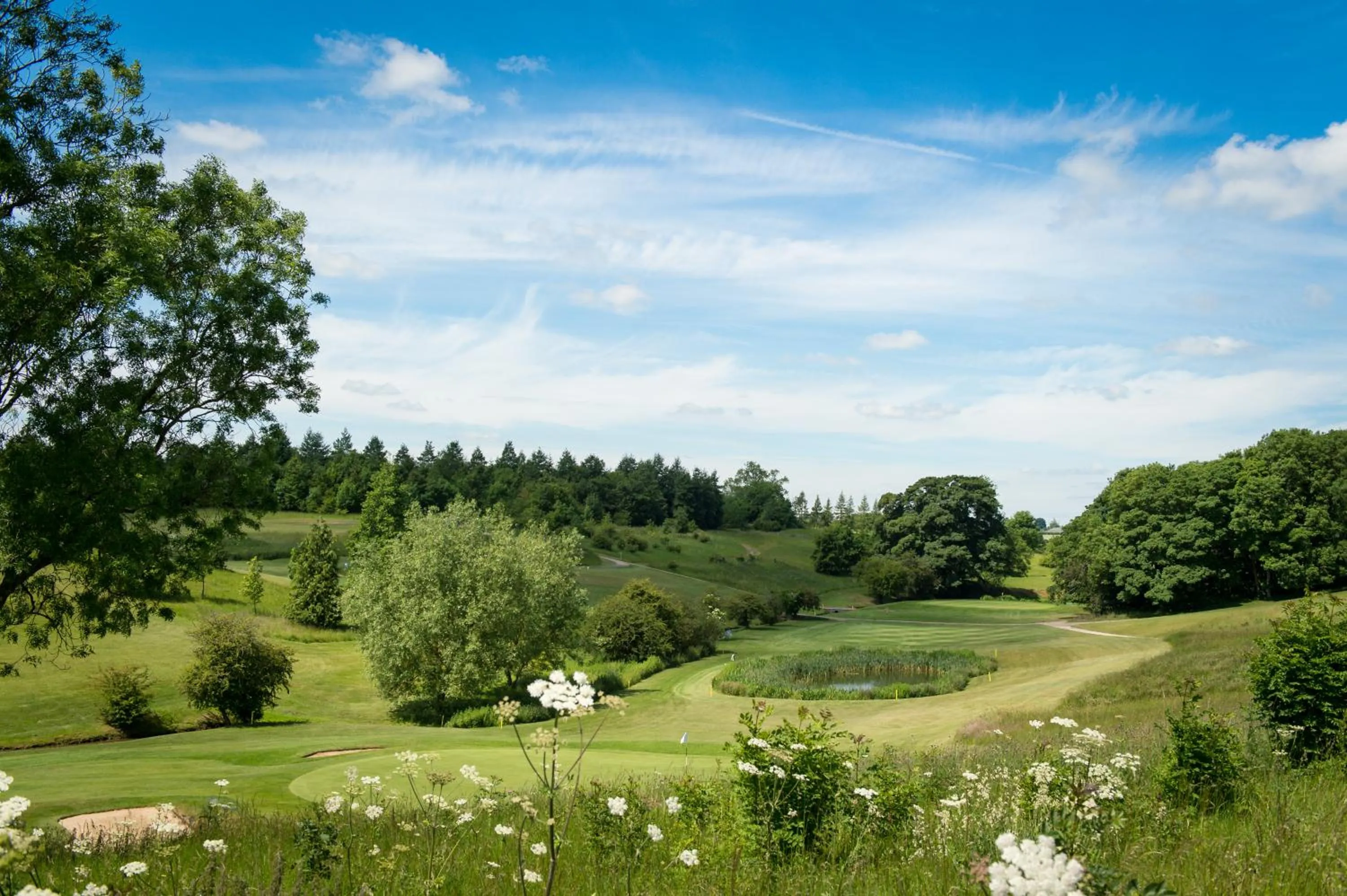 Natural landscape in Greetham Valley