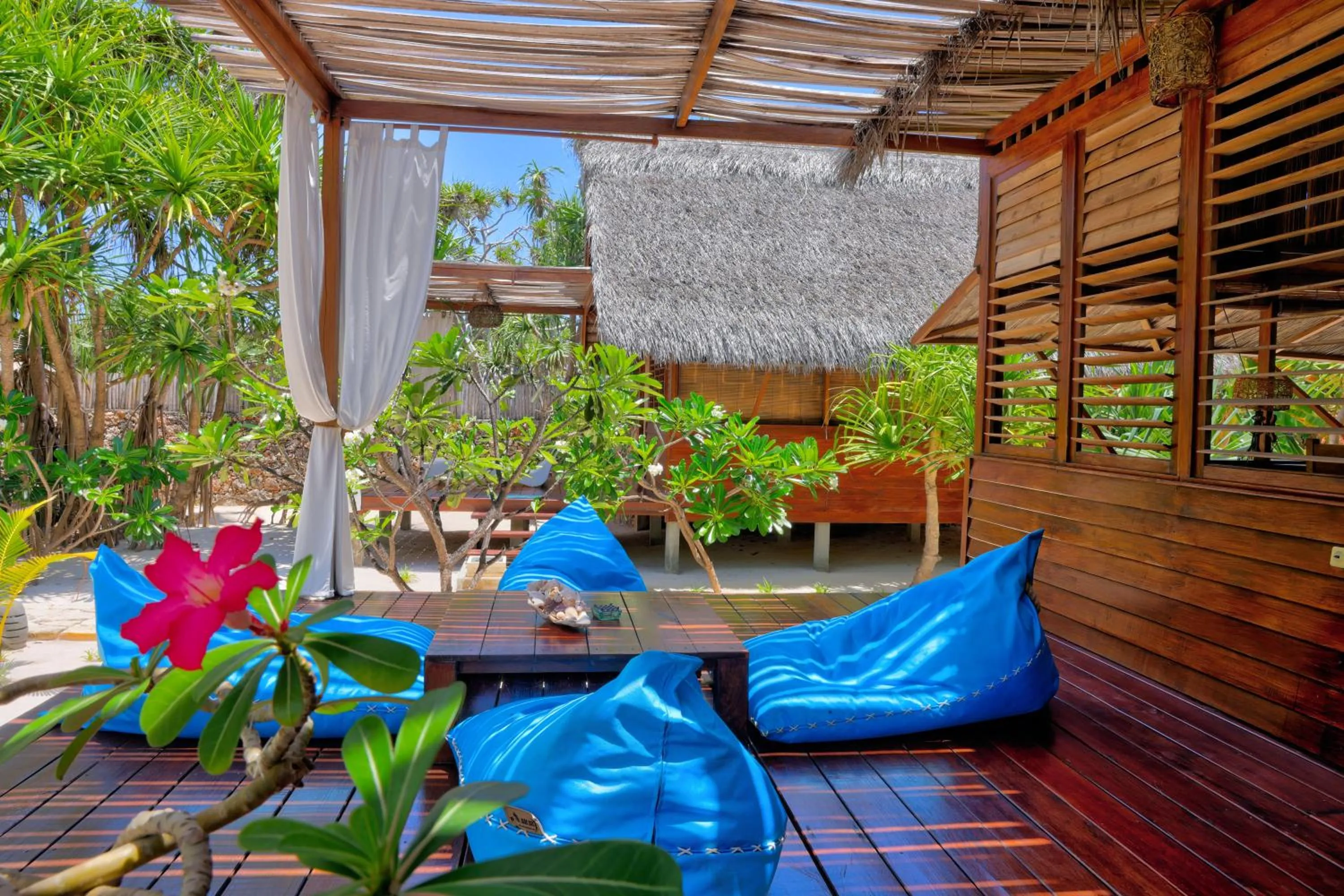 Lounge or bar in Loedi Bungalows Rote