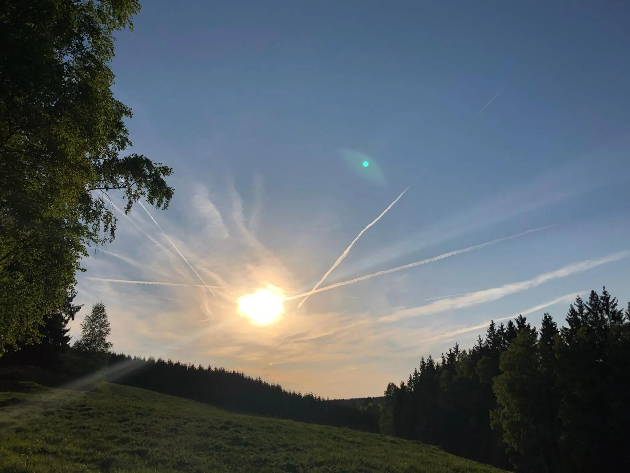 Natural landscape in Pension Raststüb'l